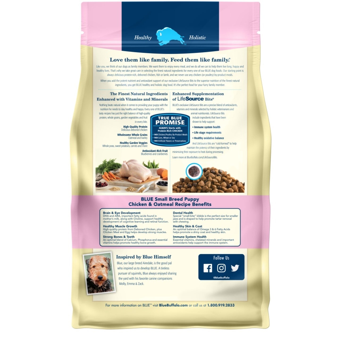 Blue Buffalo Life Protection Natural Chicken & Oatmeal Recipe Small Breed Puppy Dry Dog Food