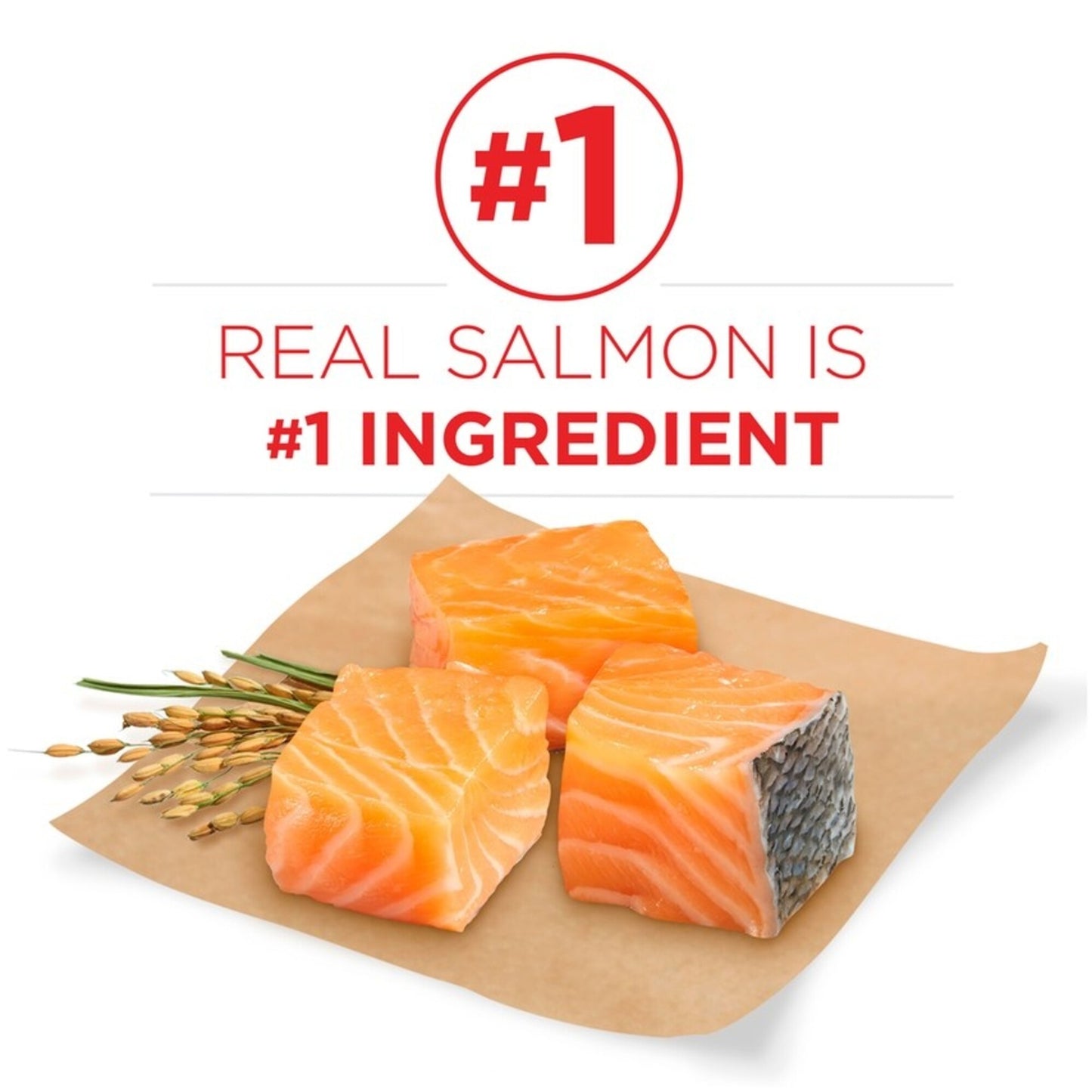 Purina ONE +Plus Skin & Coat Formula Dry Dog Food