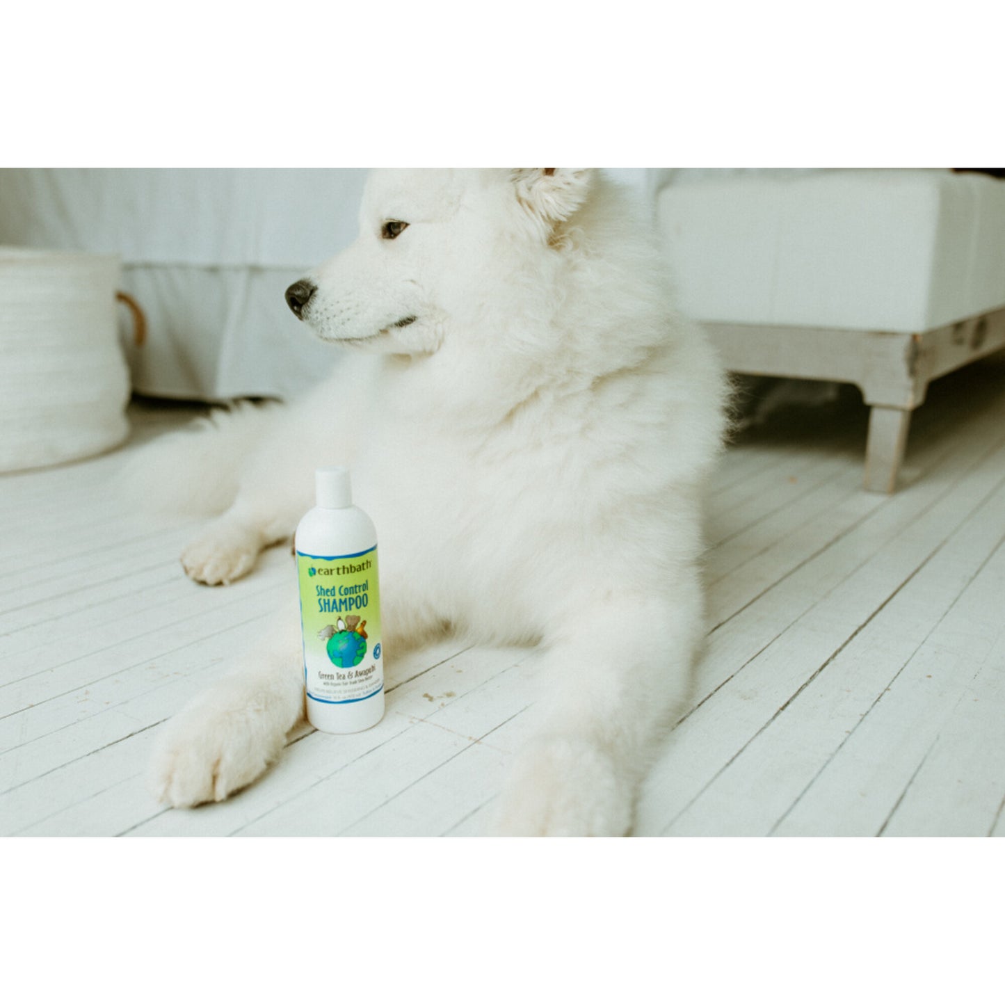 Earthbath Shed Control Shampoo for Dogs and Cats