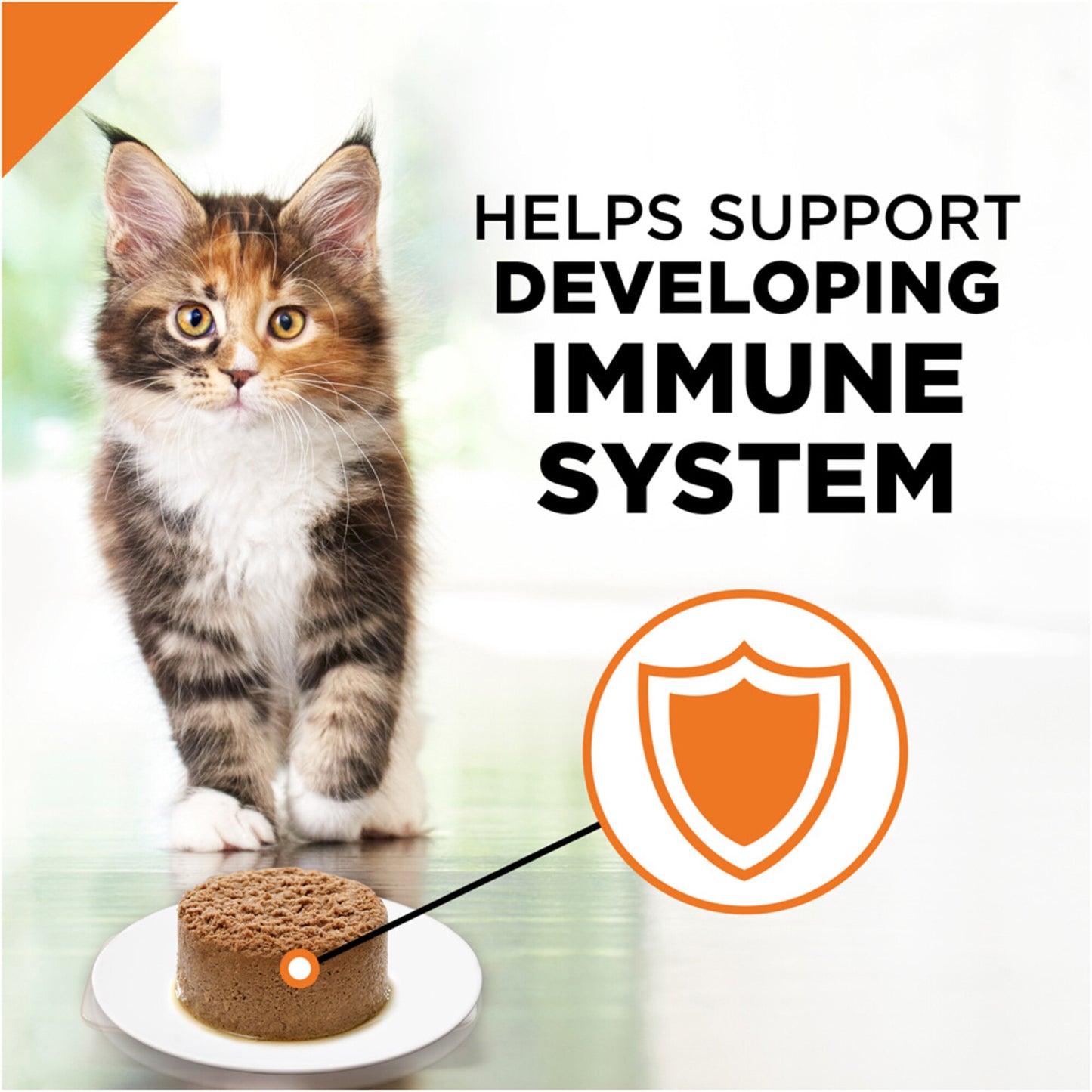 Purina Pro Plan Grain-Free Pate Chicken Entree Pull-Top Can Wet Kitten Food