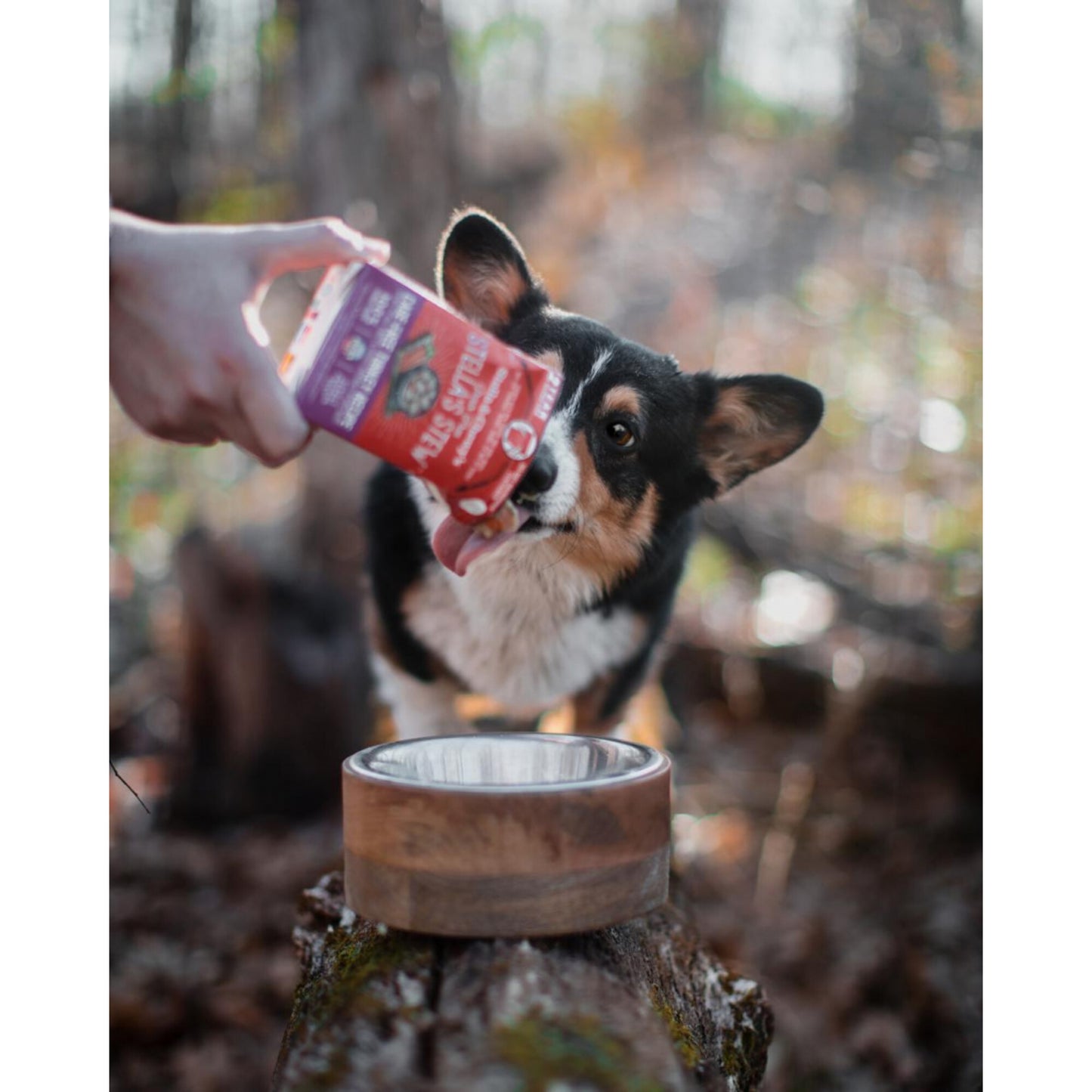 Stella & Chewy's Stella's Stew Cage Free Turkey Recipe Food Topper for Dogs