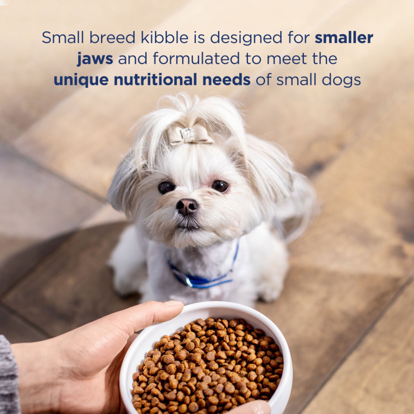 Natural Balance L.I.D. Limited Ingredient Diets Adult Maintenance Sweet Potato and Fish Small Breed Bites Dry Dog Food