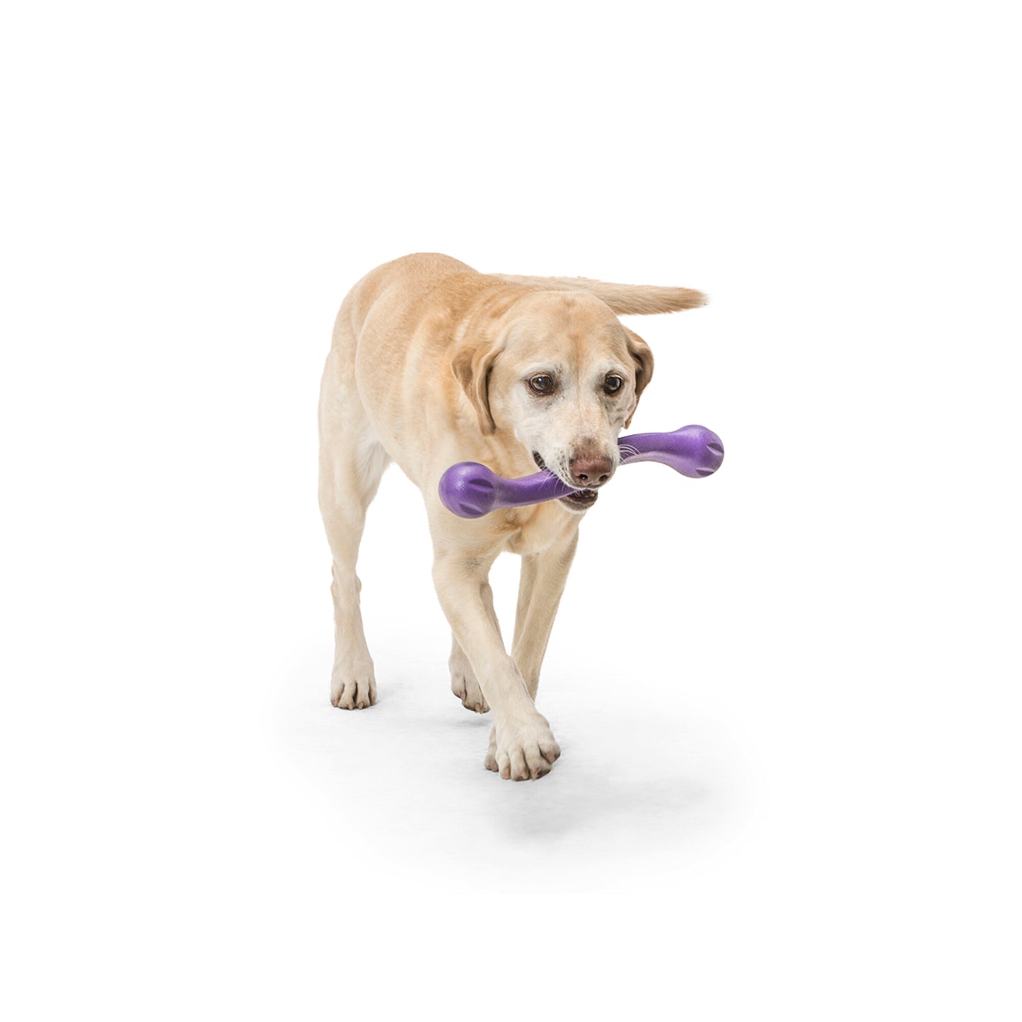 West Paw Zwig Dog Chew Toy