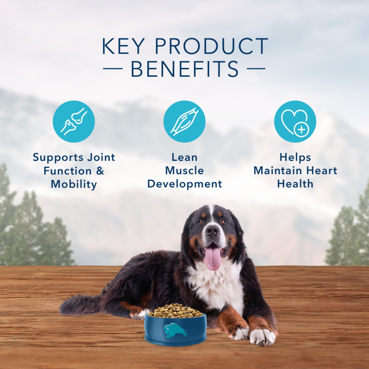 Blue Buffalo Wilderness Rocky Mountain Grain Free Natural Bison High Protein Recipe Adult Large Breed Dry Dog Food