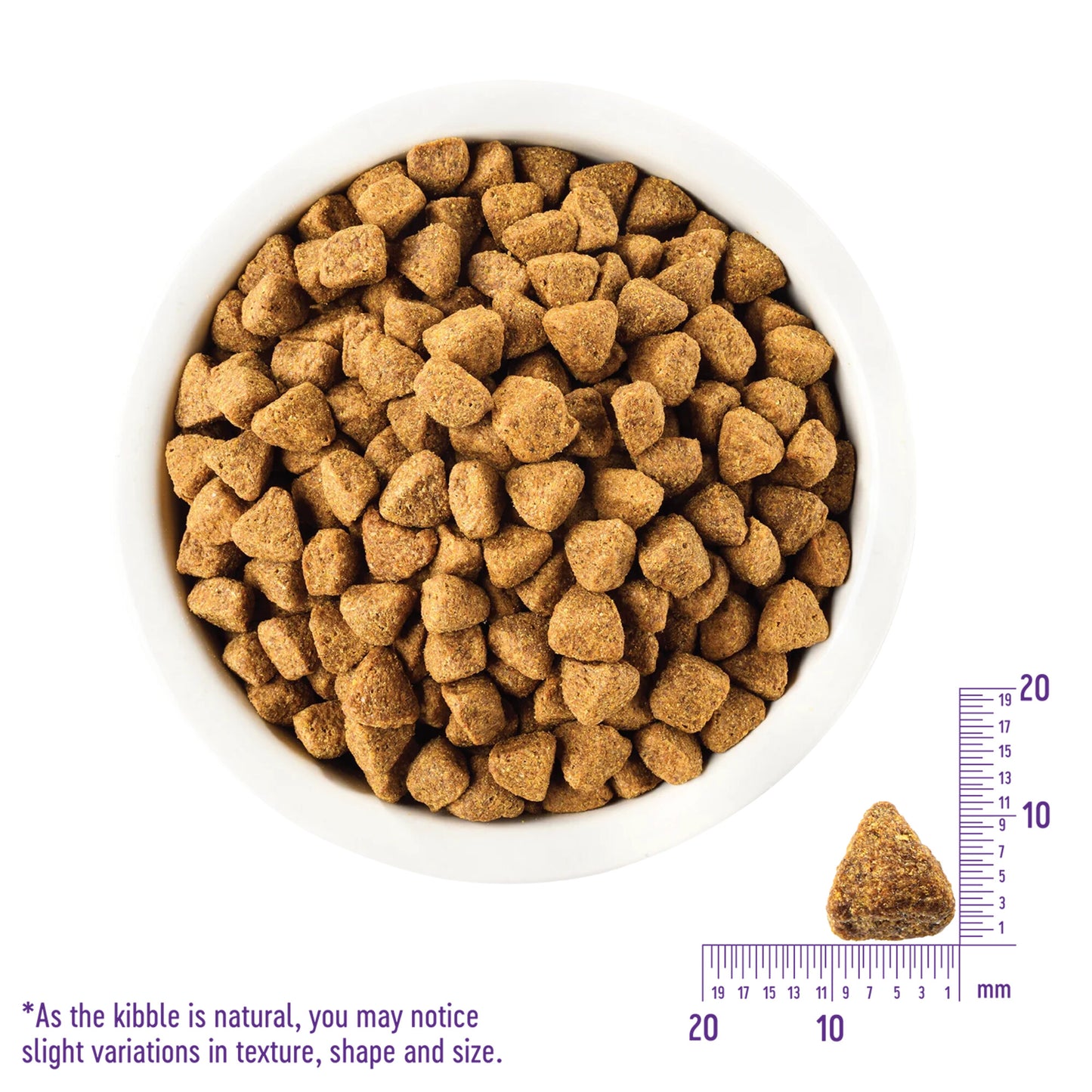 Wellness Complete Health Natural Adult Whitefish and Sweet Potato Recipe Dry Dog Food