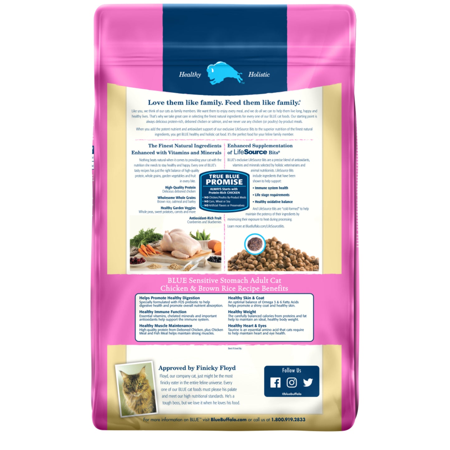 Blue Buffalo Sensitive Stomach Natural Chicken & Brown Rice Dry Cat Food