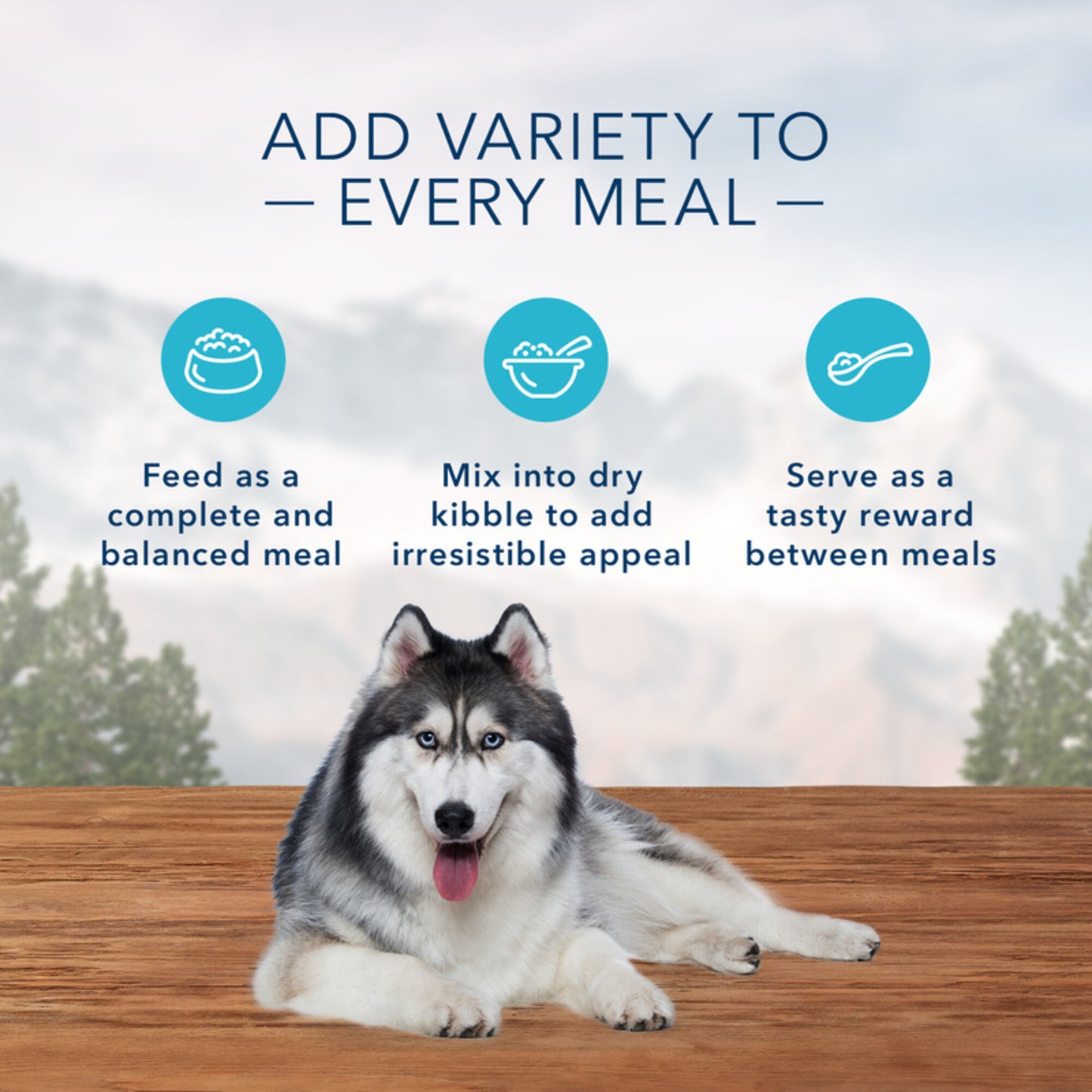 Blue Buffalo Wilderness Rocky Mountain Recipe Grain Free Senior Red Meat Dinner Canned Dog Food