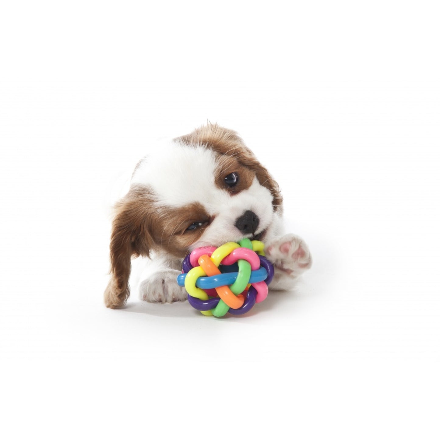 MultiPet Nobbly Wobbly 4inch Dog Toy