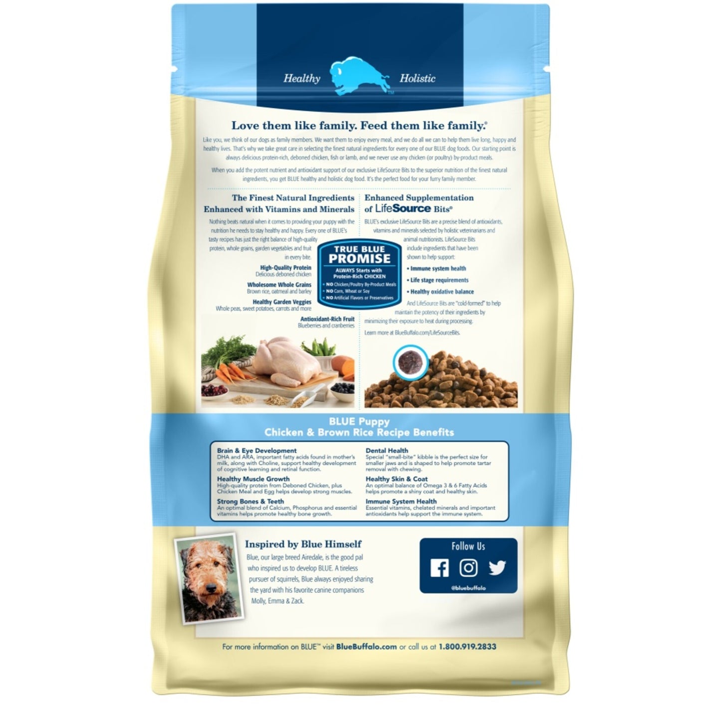 Blue Buffalo Life Protection Natural Chicken & Brown Rice Recipe Puppy Dry Dog Food