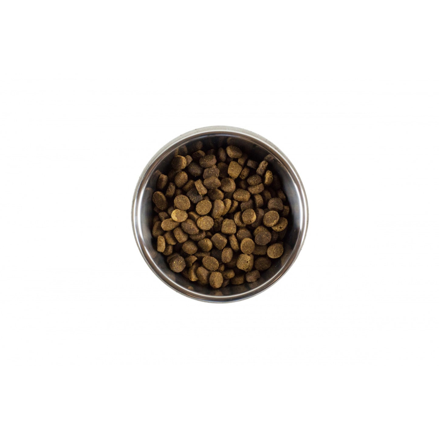 BeOneBreed Concrete Food Bowl for Dogs & Cats