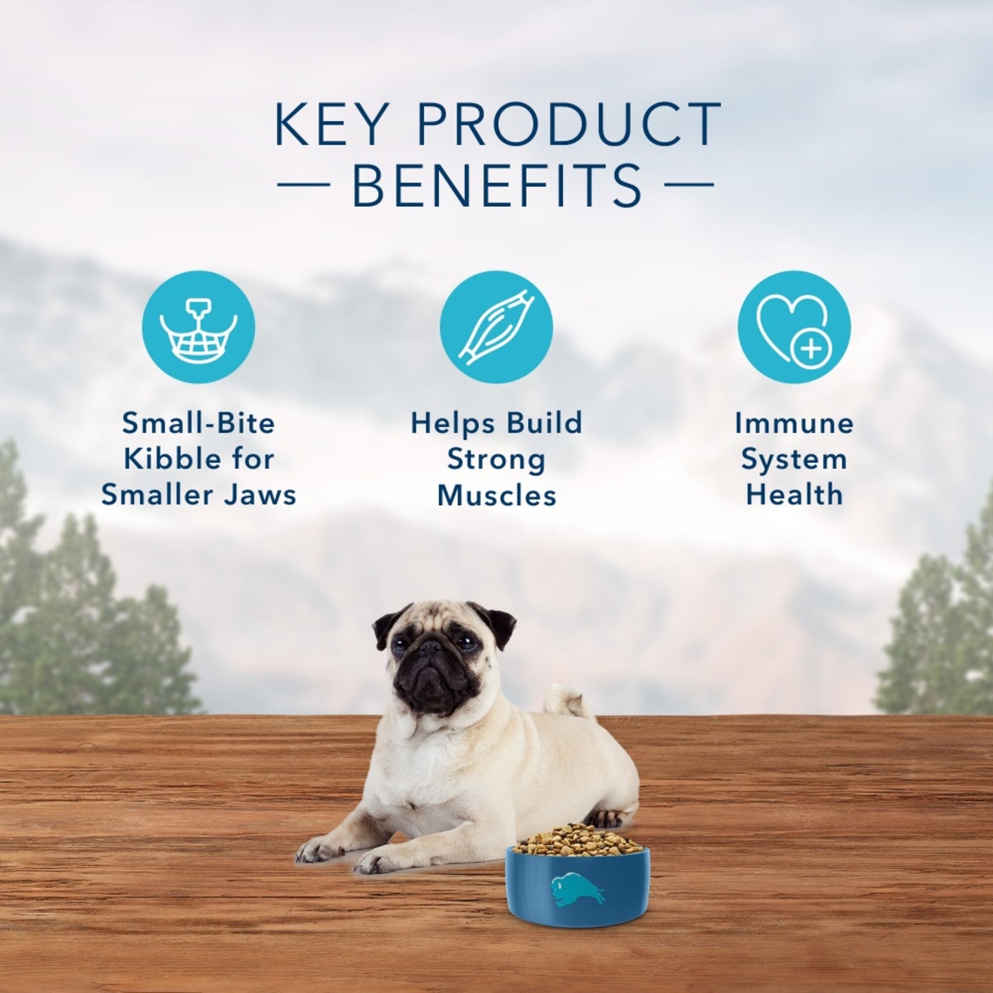 Blue Buffalo Wilderness Grain Free Natural Chicken Recipe High Protein Adult Small Bite Dry Dog Food