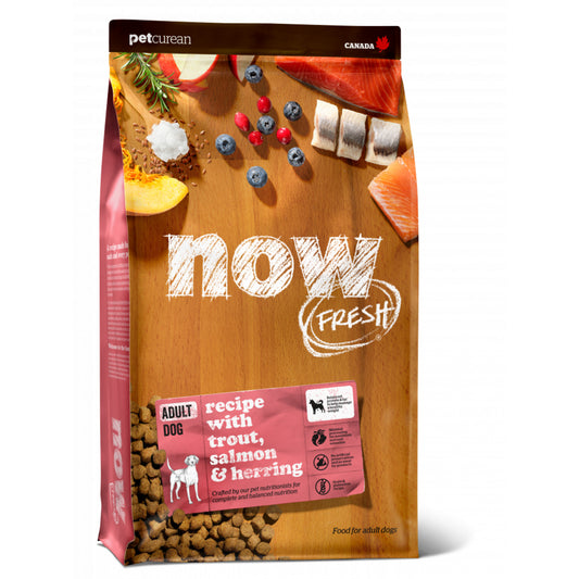 Petcurean Now! Fresh Grain Free Fish Recipe Dry Dog Food