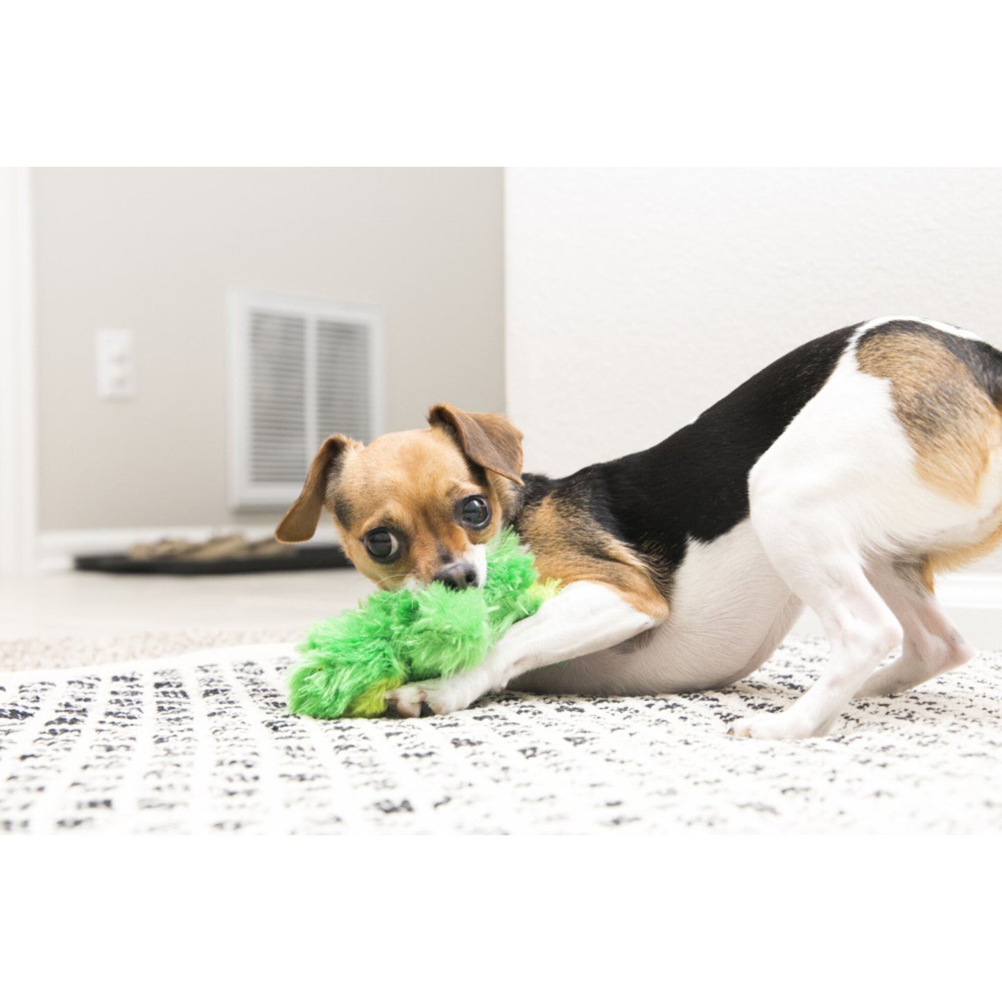 KONG Plush Frog Dog Toy