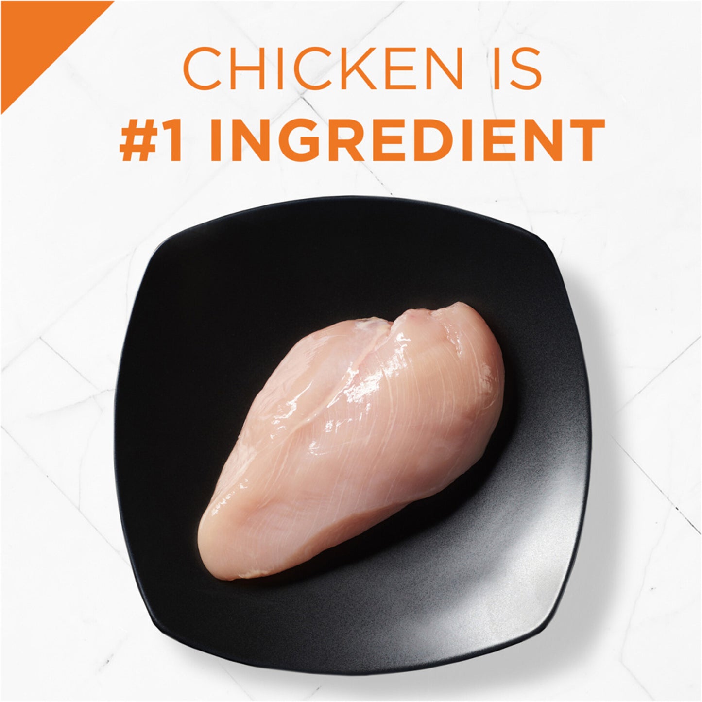 Purina Pro Plan Grain-Free Pate Salmon & Tuna Entree Pull-Top Can Wet Kitten Food