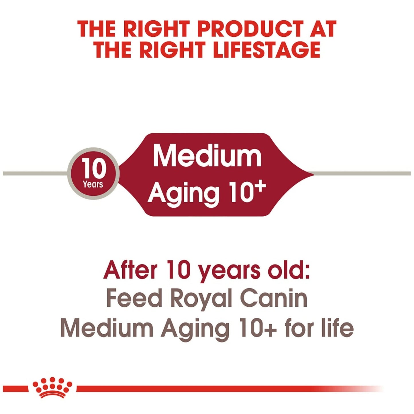 Royal Canin Size Health Nutrition Medium Aging 10+ Dry Dog Food