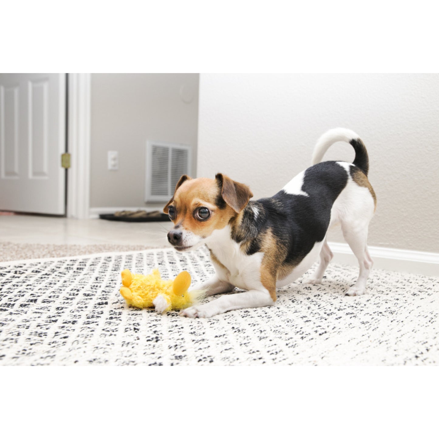 KONG Plush Duck Dog Toy
