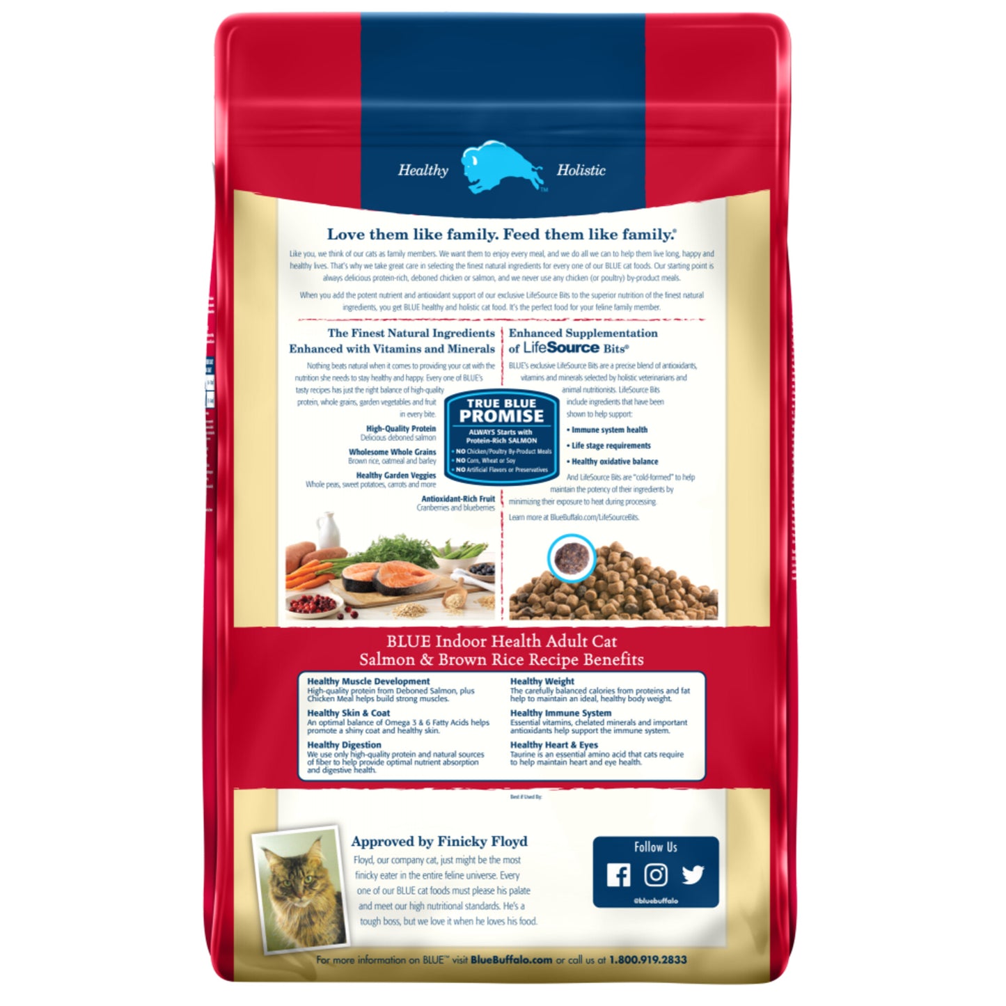 Blue Buffalo Indoor Health Natural Salmon & Brown Rice Adult Dry Cat Food