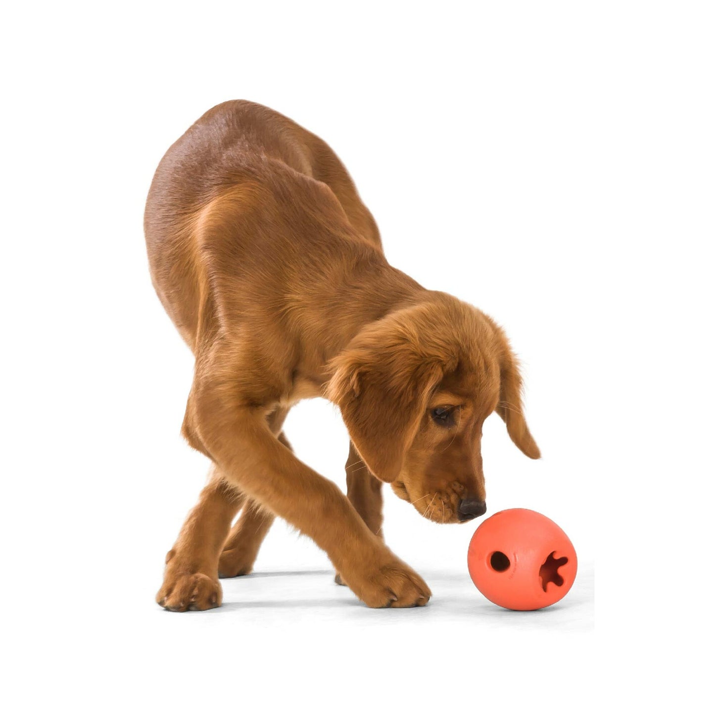 West Paw Rumbl Dog Chew Toy, Melon