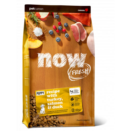 Petcurean Now! Fresh Grain Free Puppy Dry Dog Food