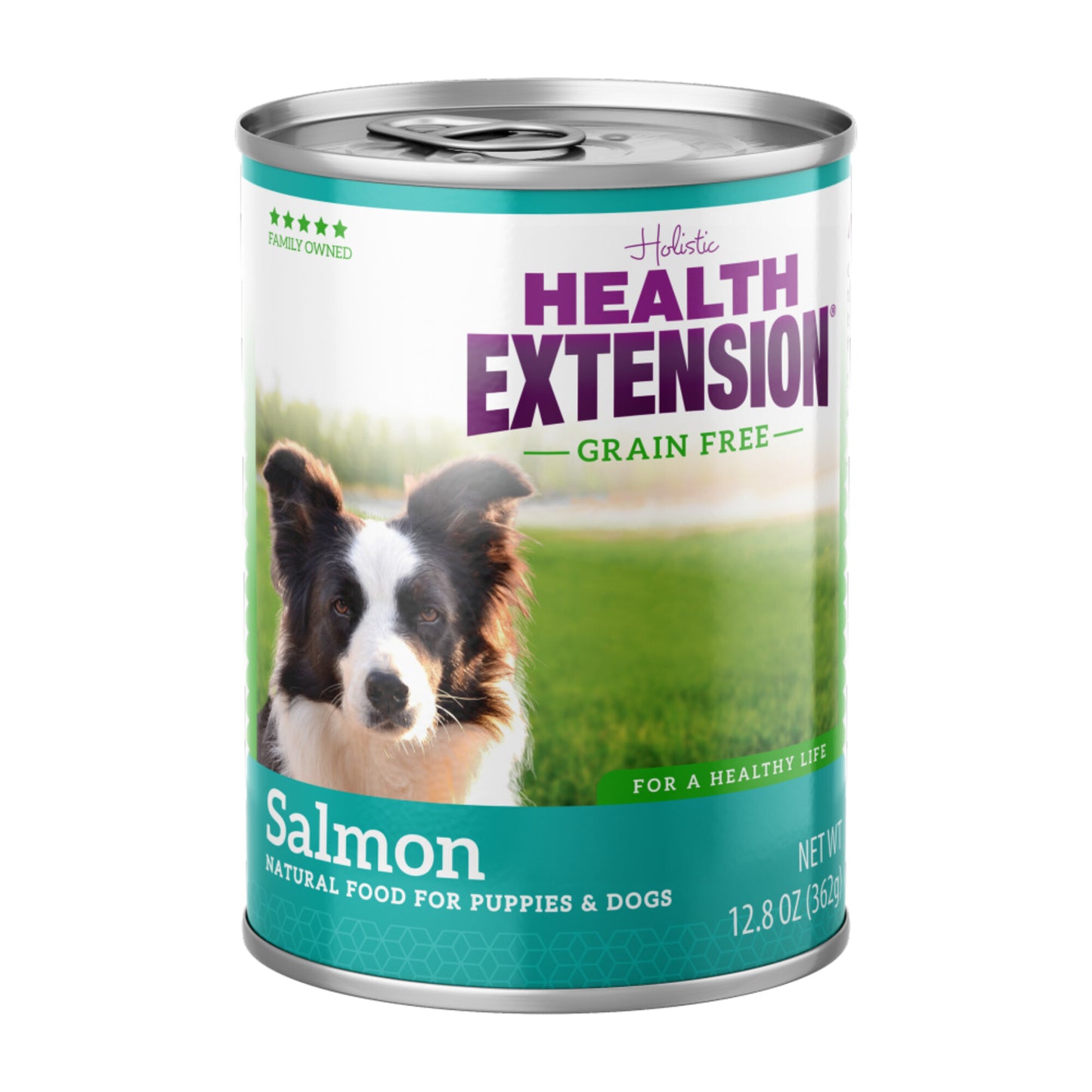 Health Extension Holistic Grain Free 95% Salmon Canned Dog Food