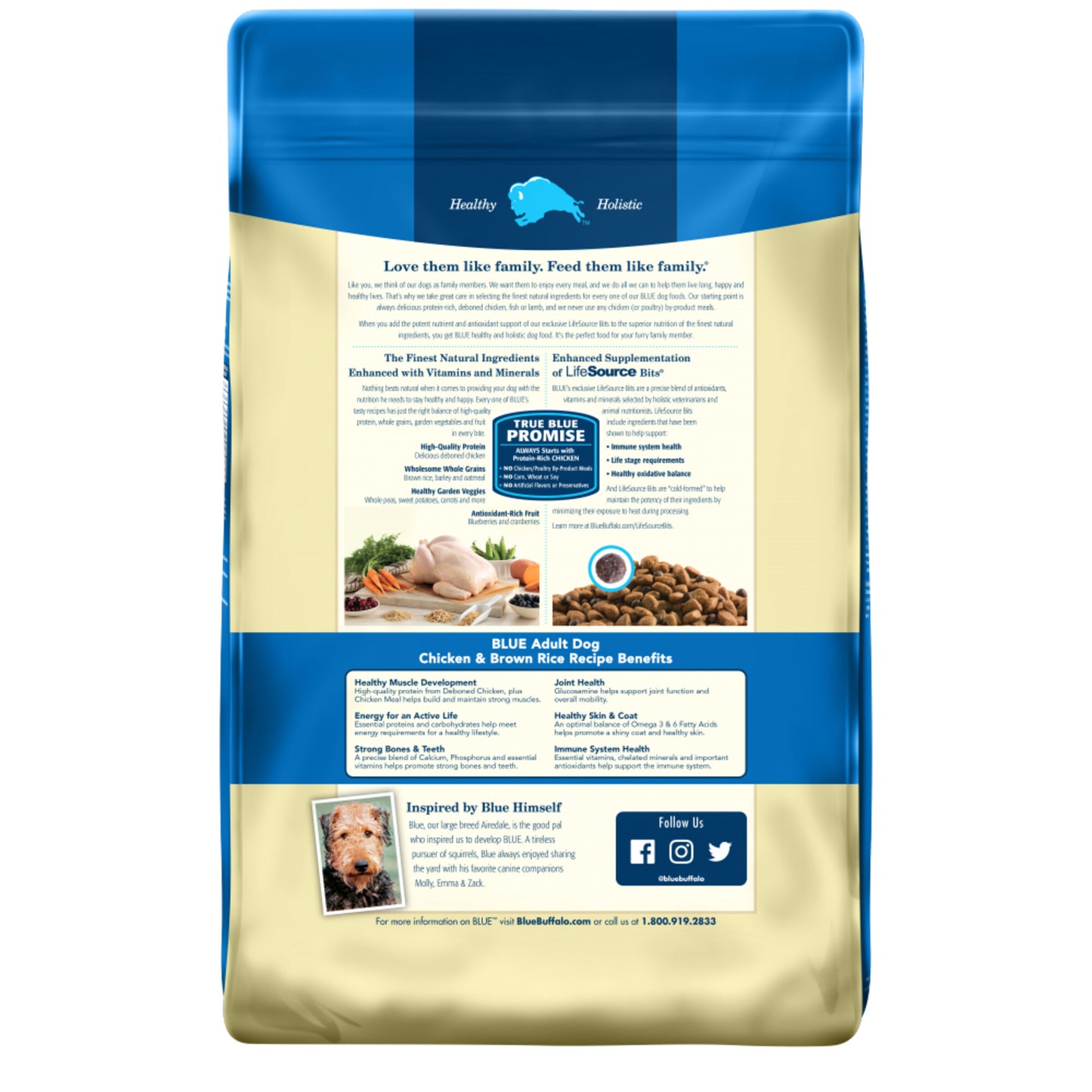 Blue Buffalo Life Protection Natural Chicken & Brown Rice Recipe Adult Dry Dog Food