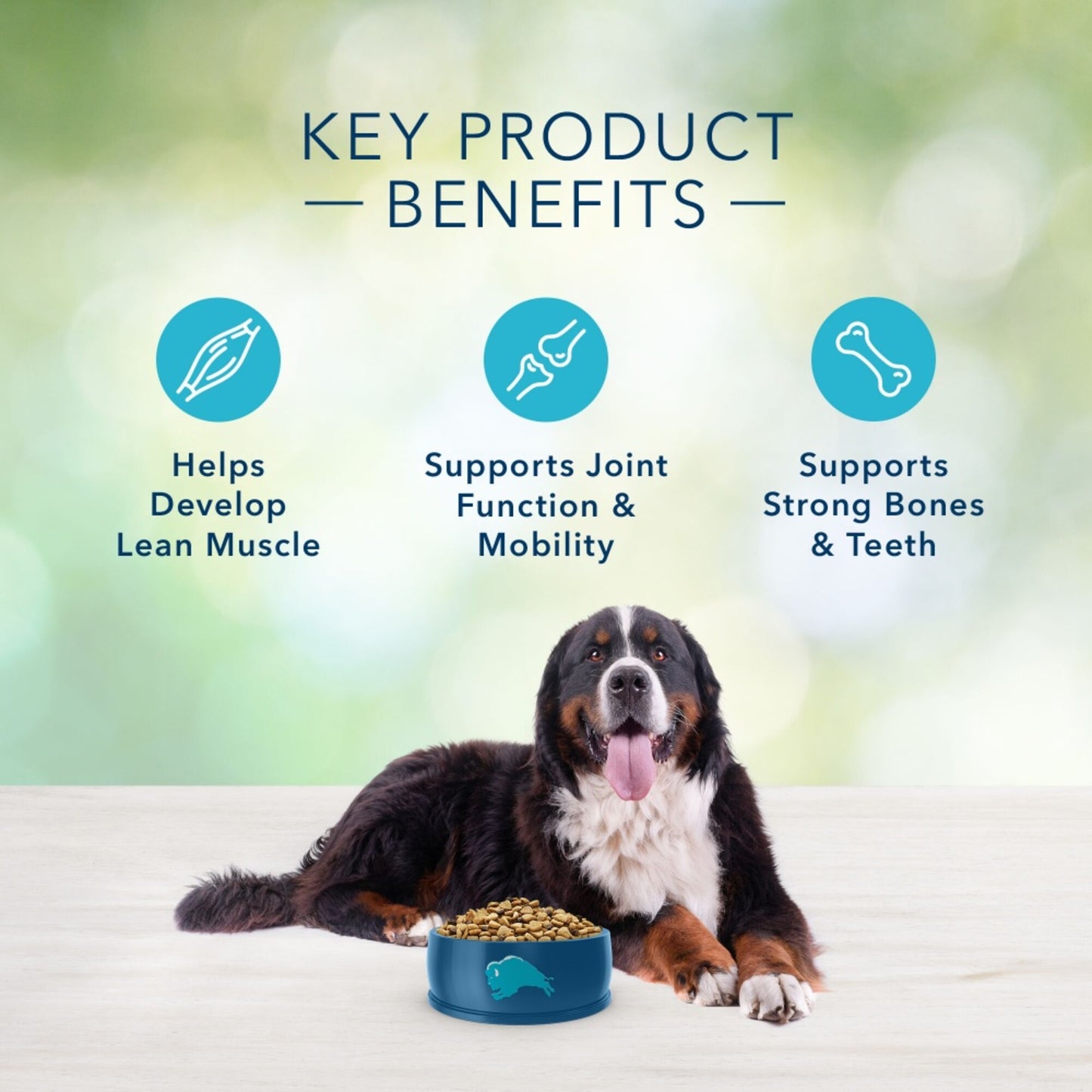 Blue Buffalo Freedom Large Breed Adult Lamb Recipe Dry Dog Food