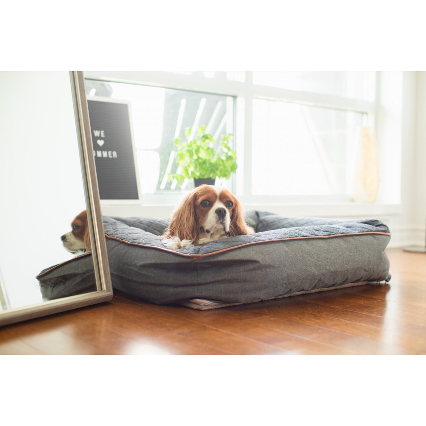 BeOneBreed Snuggle Bed Dark Gray Orthopedic Bed for Dogs & Cats