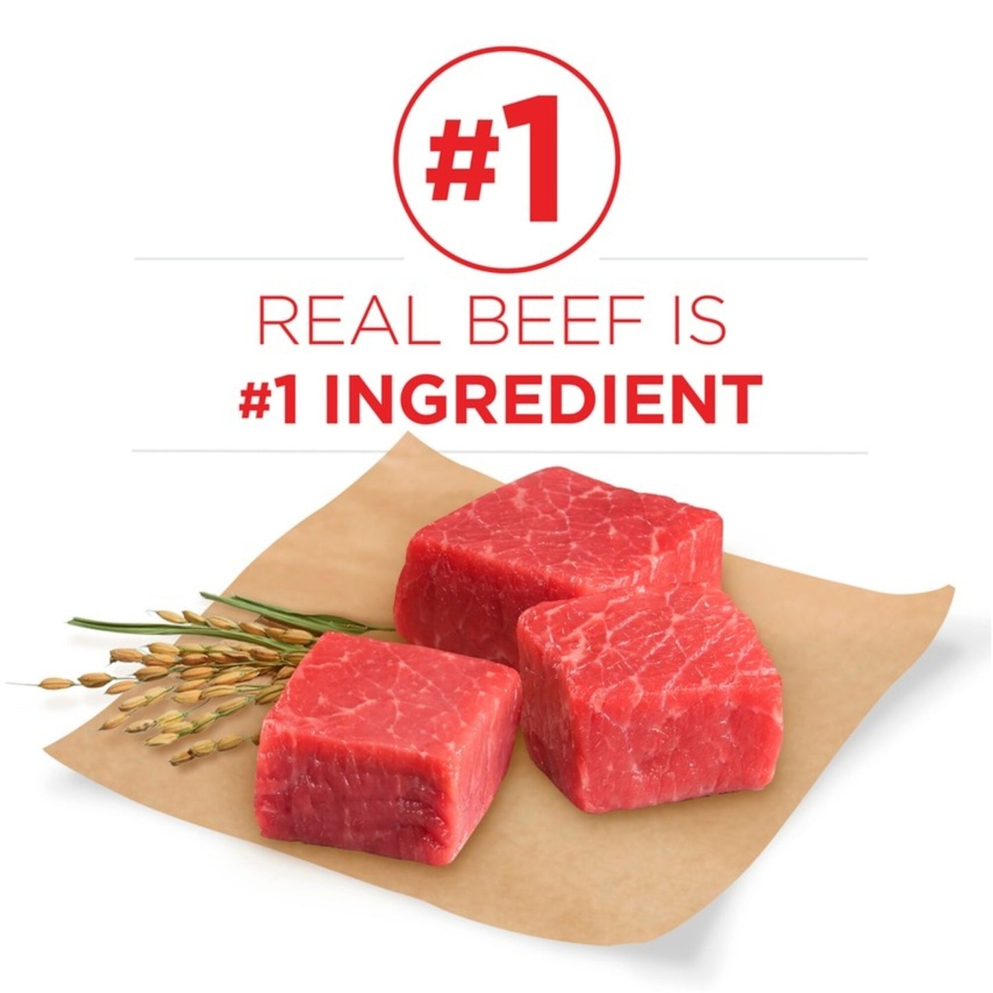 Purina ONE SmartBlend Small Bites Beef & Rice Dry Dog Food