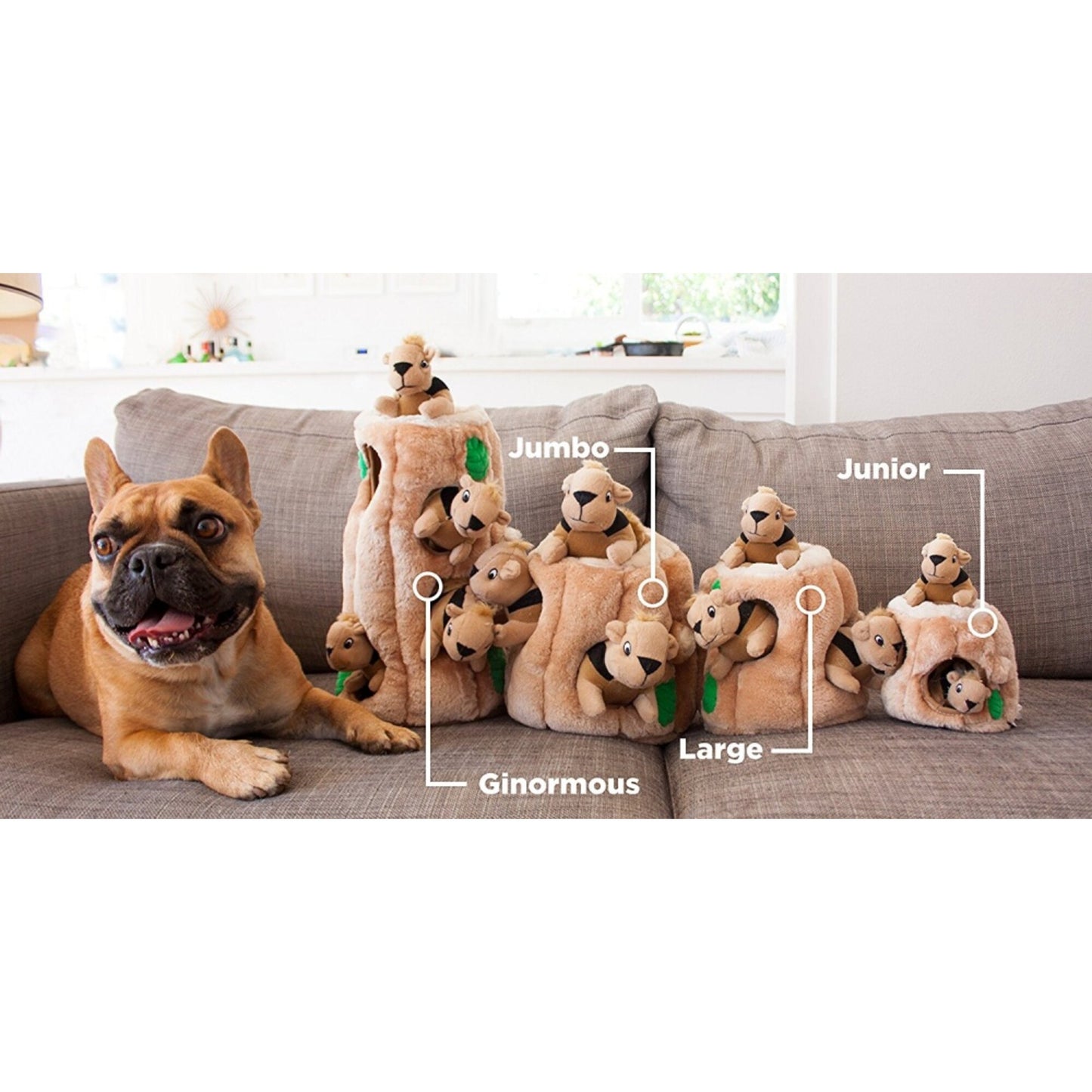 Outward Hound Hide A Squirrel Puzzle Dog Toy