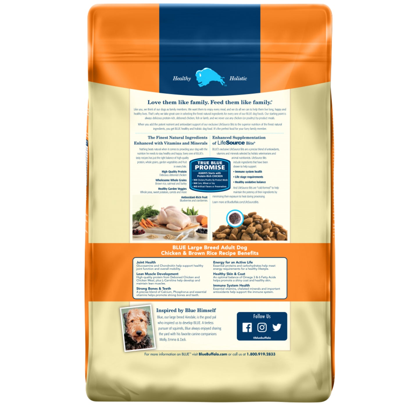 Blue Buffalo Life Protection Natural Chicken & Brown Rice Recipe Large Breed Adult Dry Dog Food
