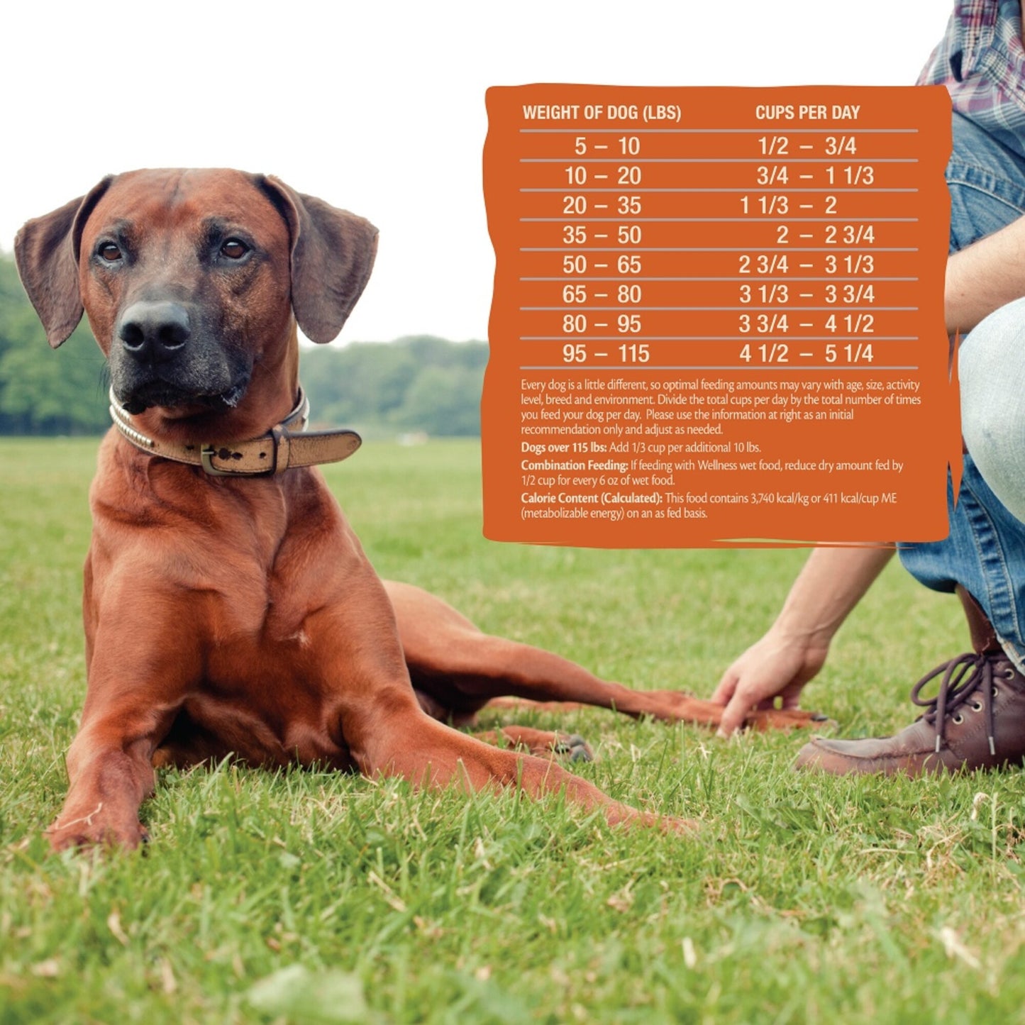 Wellness CORE Grain Free Tender Bites Original Recipe Meal or Mixer Dry Dog Food