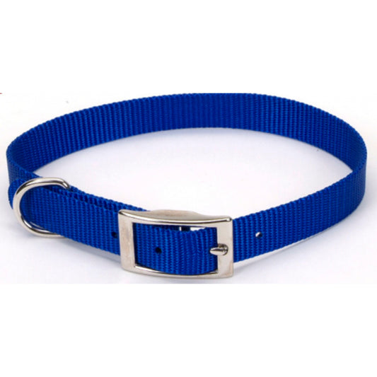 Coastal Pet Products Standard Nylon Small and Medium Dog Collar