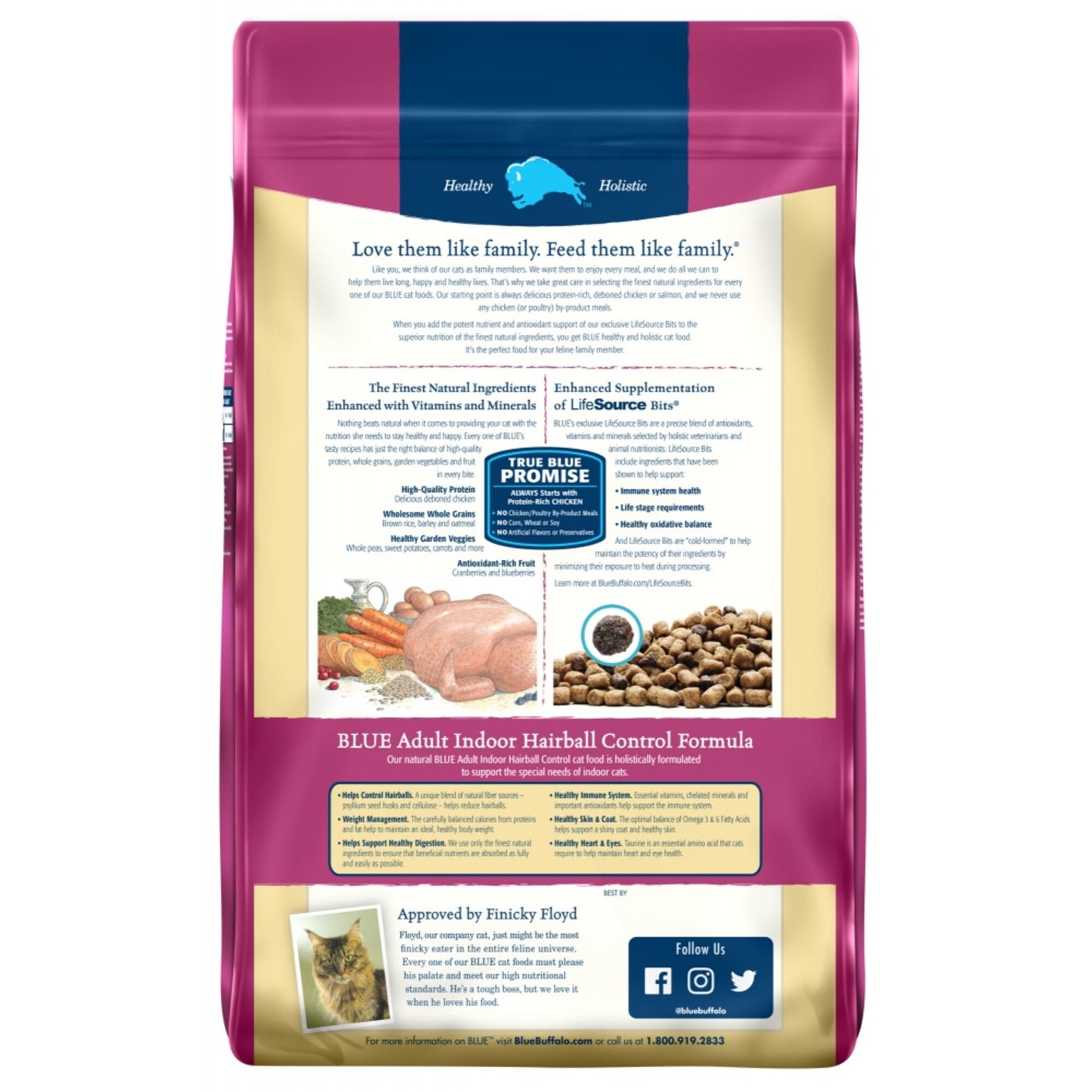 Blue Buffalo Indoor Hairball Control Chicken & Brown Rice Recipe Dry Cat Food