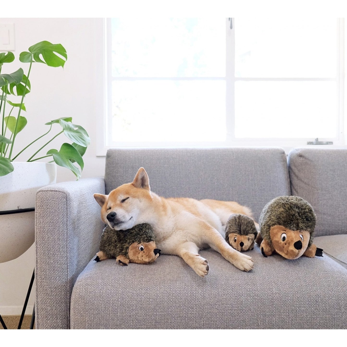 Outward Hound HedgehogZ Plush Dog Toy