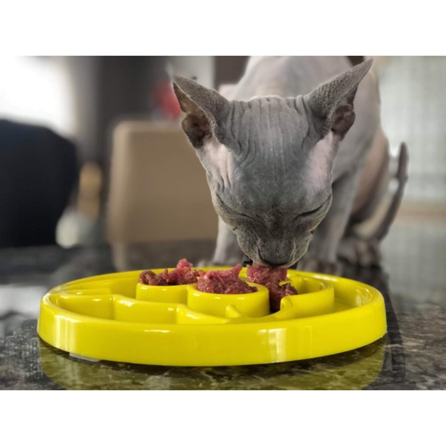 BeOneBreed Yellow Slow Feeder Cat Food Bowl