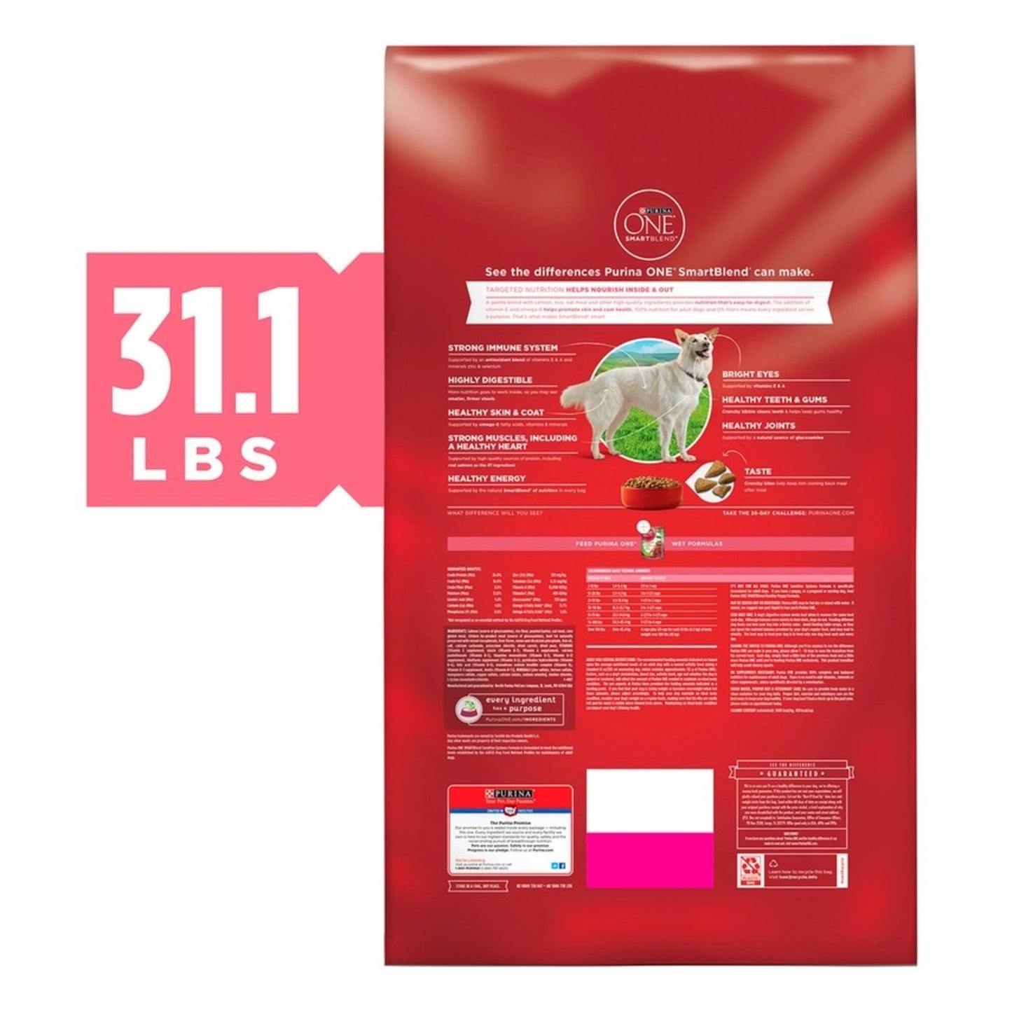 Purina ONE +Plus Skin & Coat Formula Dry Dog Food