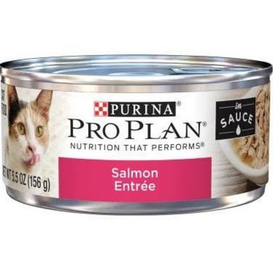 Purina Pro Plan Salmon Entree in Sauce Canned Cat Food