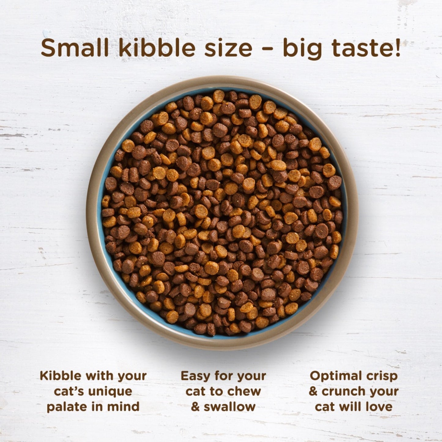 Rachael Ray Nutrish Natural Chicken & Brown Rice Recipe Dry Cat Food