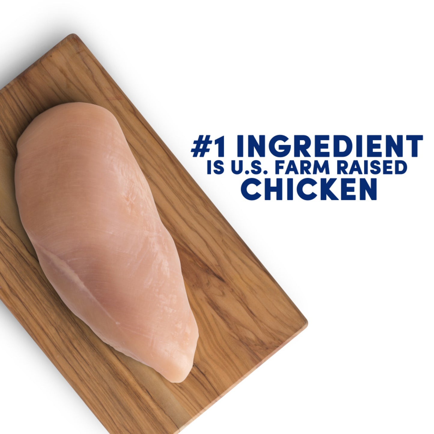 Natural Balance Original Ultra Grain Free Large Breed Bites Chicken Recipe Dry Dog Food