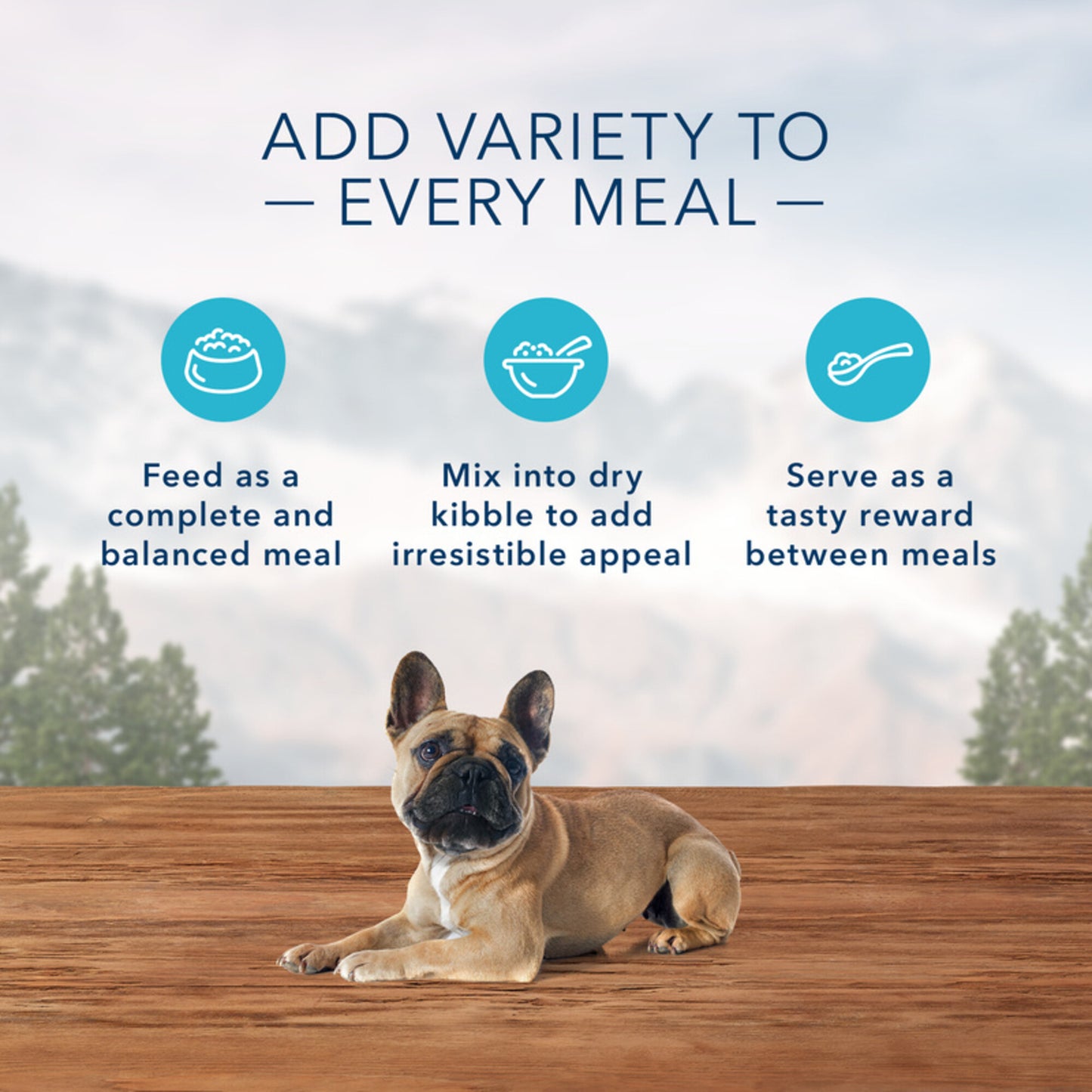 Blue Buffalo Wilderness Grain Free Small Breed Turkey & Chicken Grill Canned Dog Food