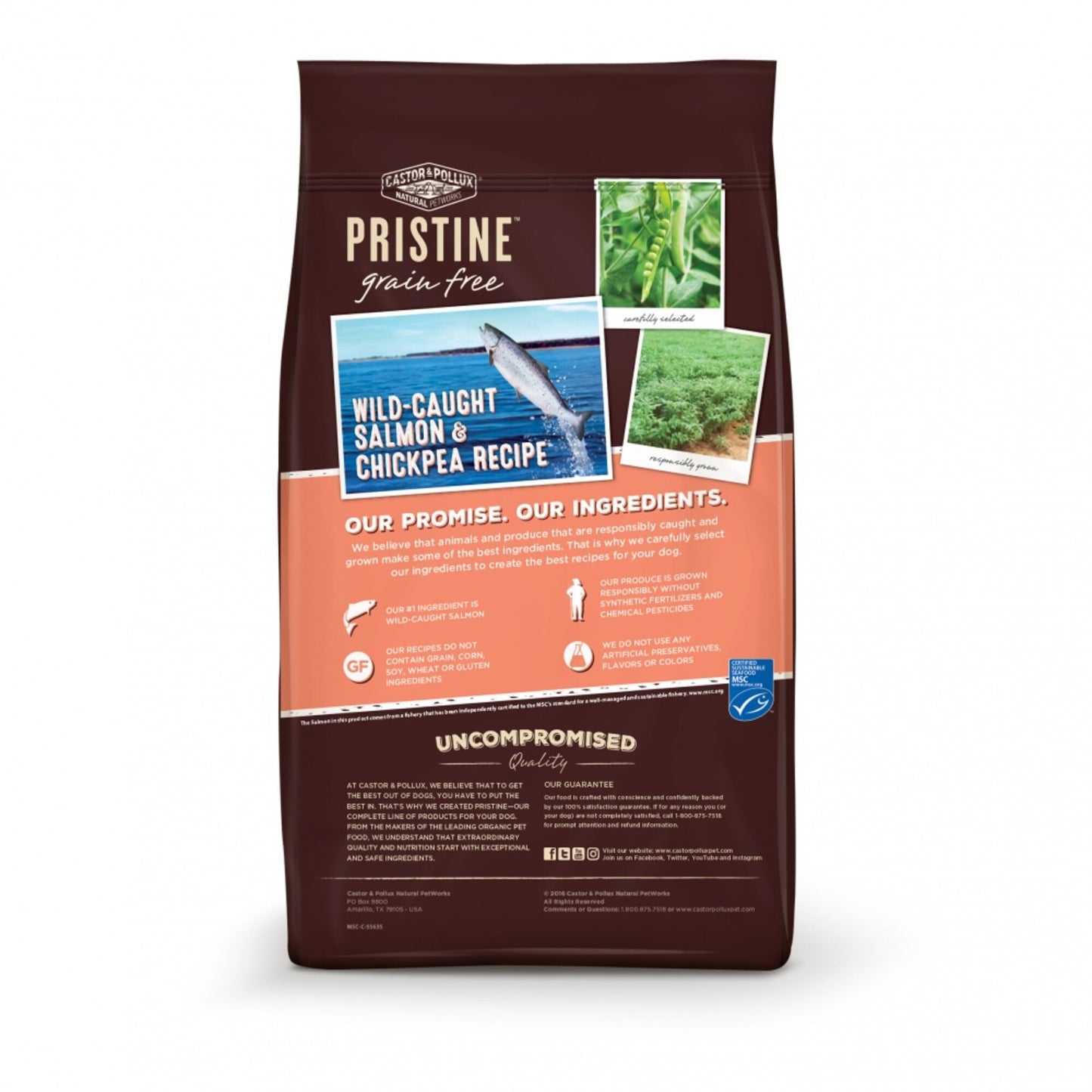 Castor and Pollux Pristine Grain Free Wild Caught Salmon and Chickpea Recipe Dry Dog Food