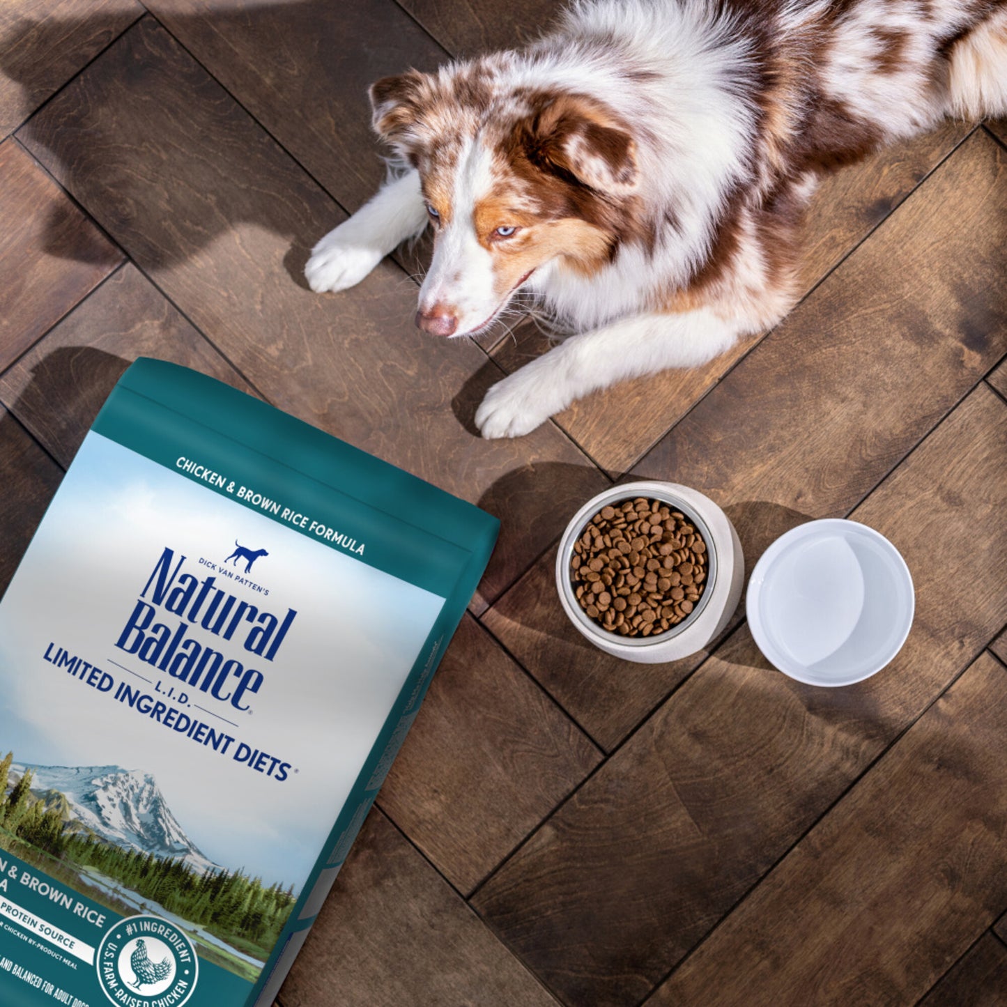 Natural Balance L.I.D. Limited Ingredient Diet Chicken & Brown Rice Formula Dry Dog Food
