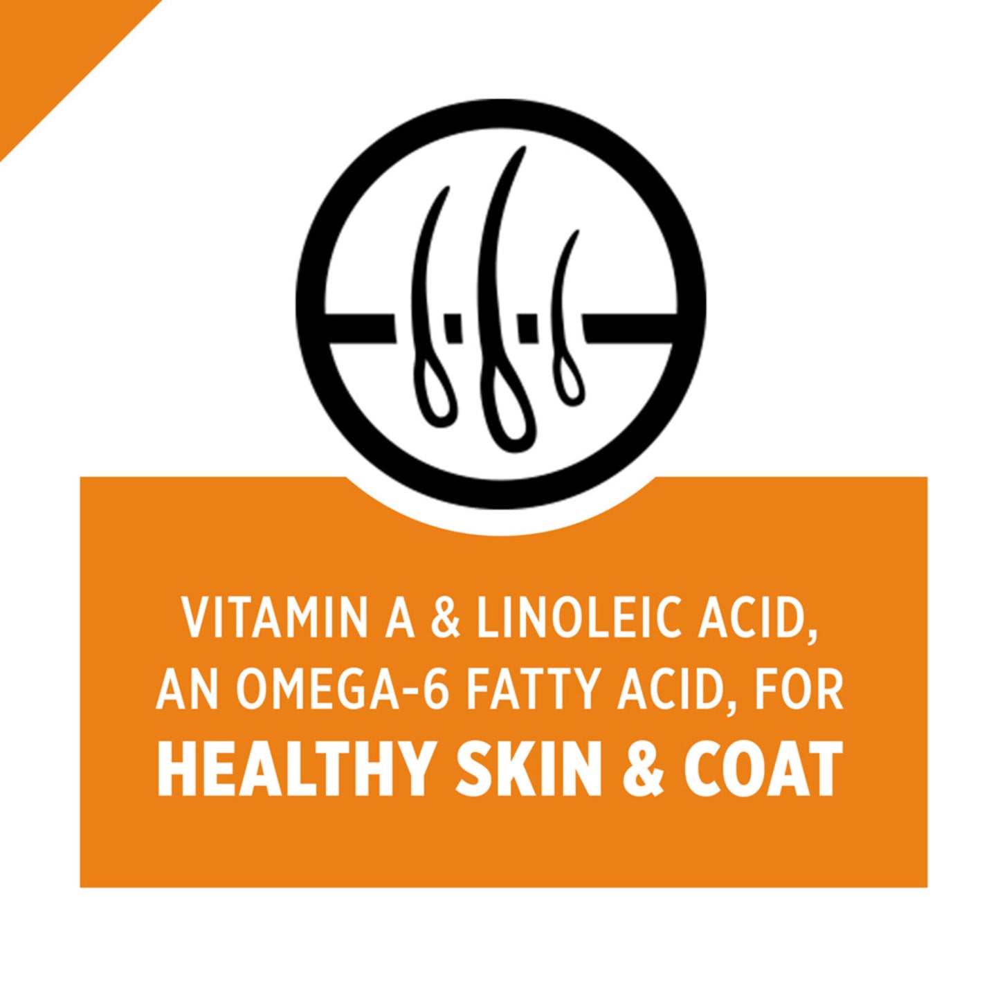 Purina Pro Plan Savor Shredded Blend Beef & Rice Formula Adult Dry Dog Food