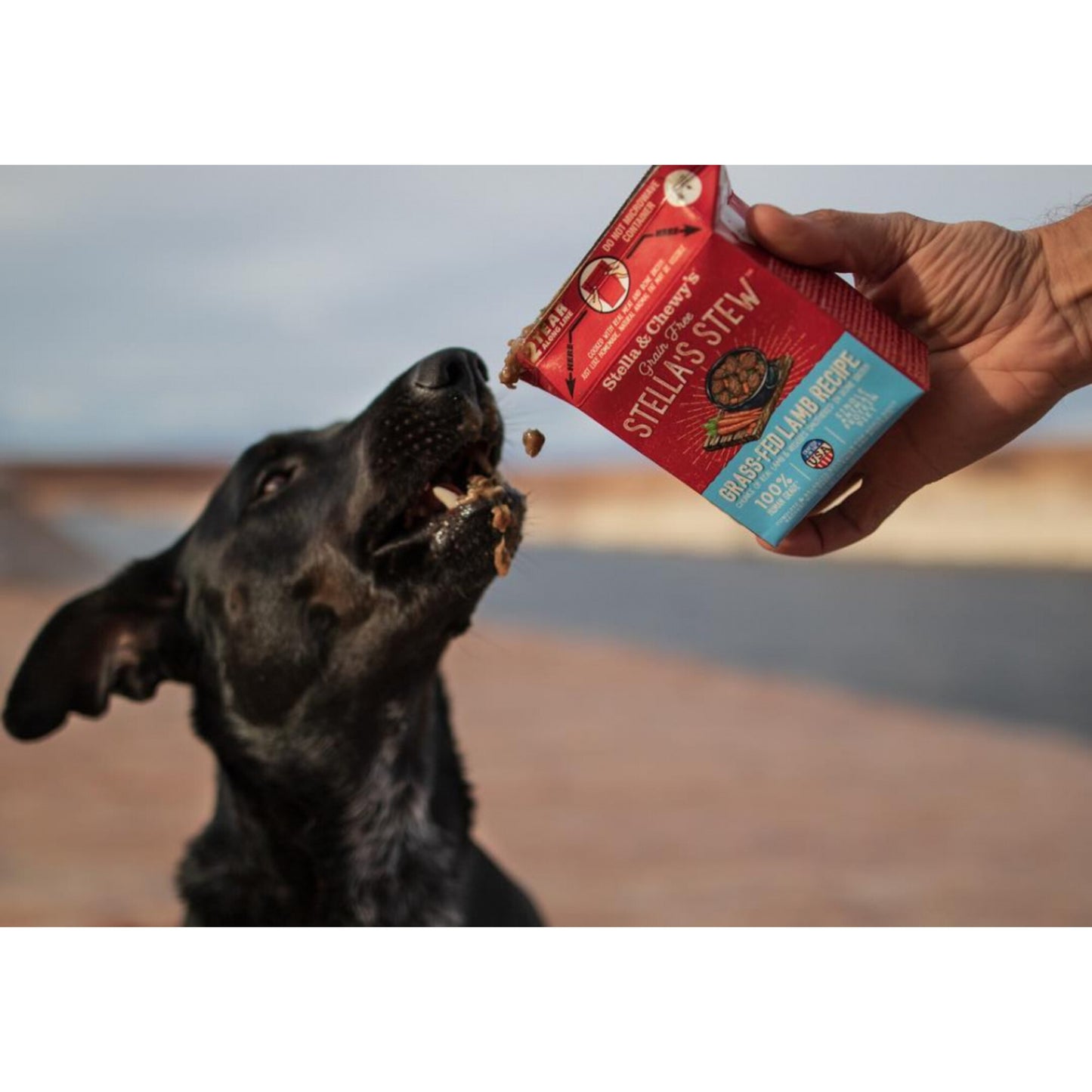 Stella & Chewy's Stella's Stew Grass Fed Lamb Recipe Food Topper for Dogs