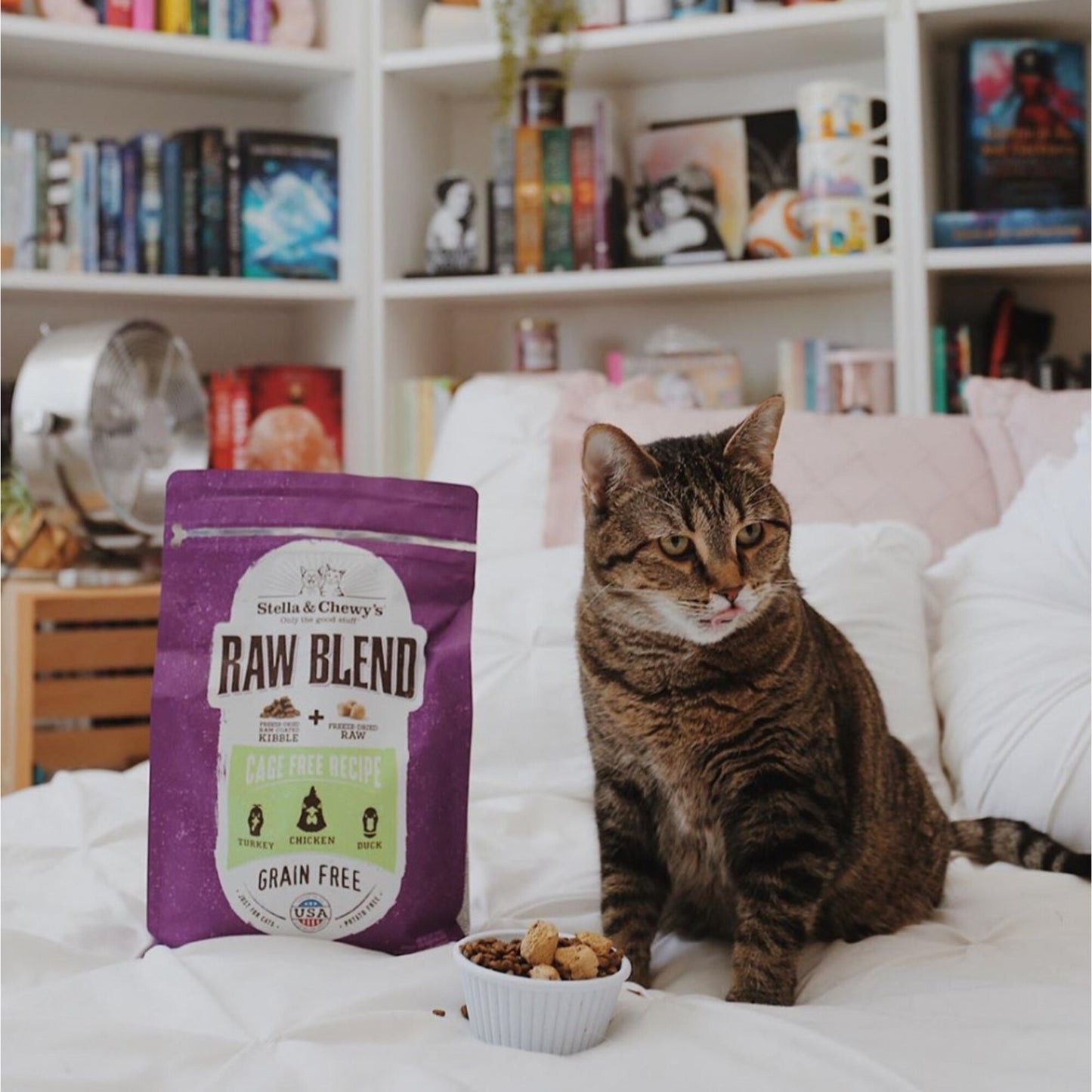 Stella & Chewy's Raw Blend Kibble Cage Free Poultry Recipe Dry Cat Food