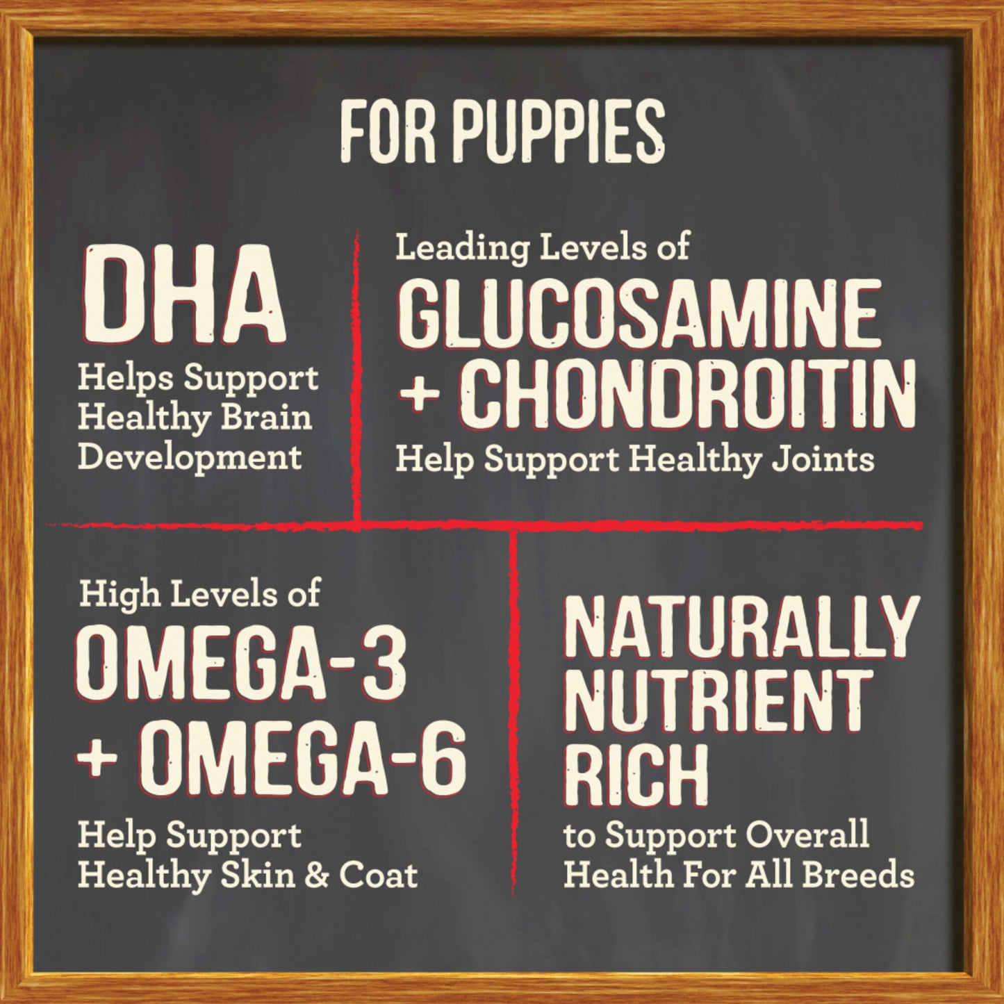 Merrick Grain Free Puppy Chicken Recipe Dry Dog Food