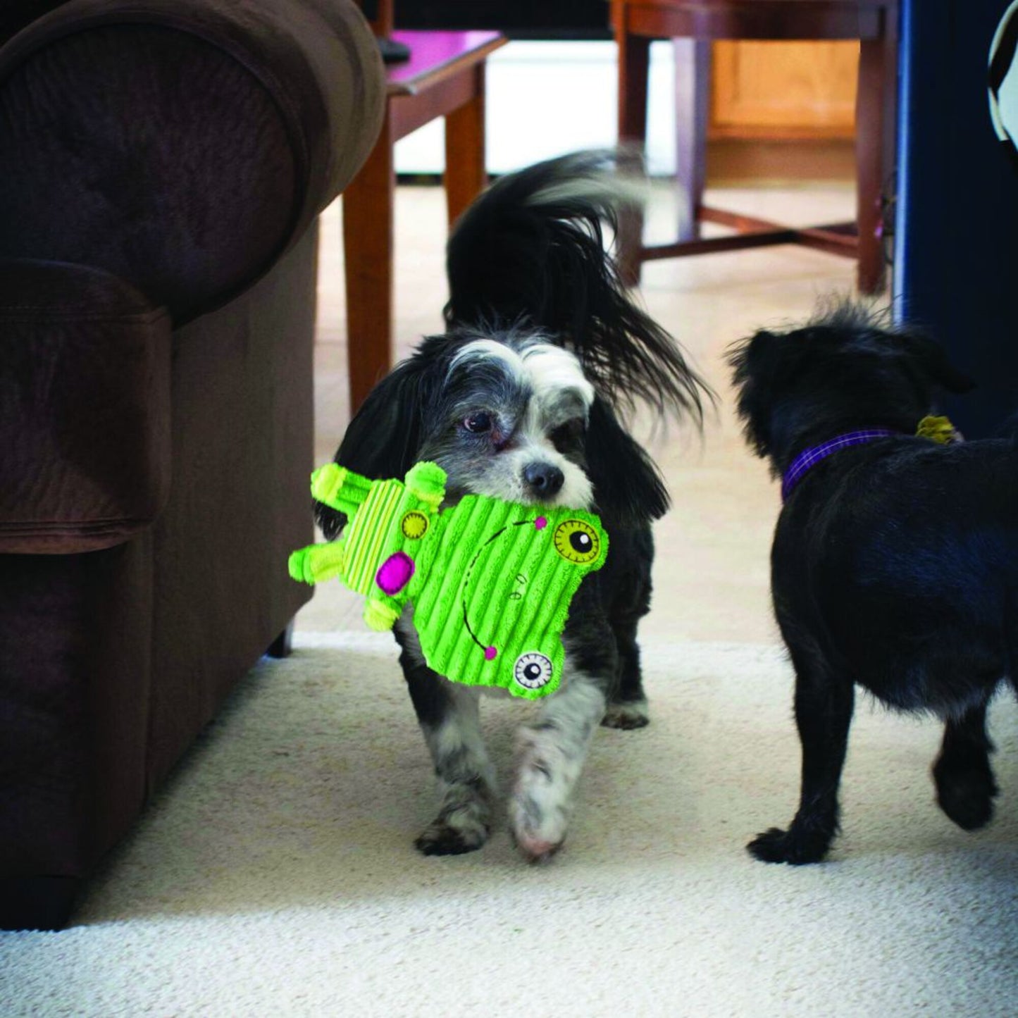 KONG Romperz Frog Dog Toy