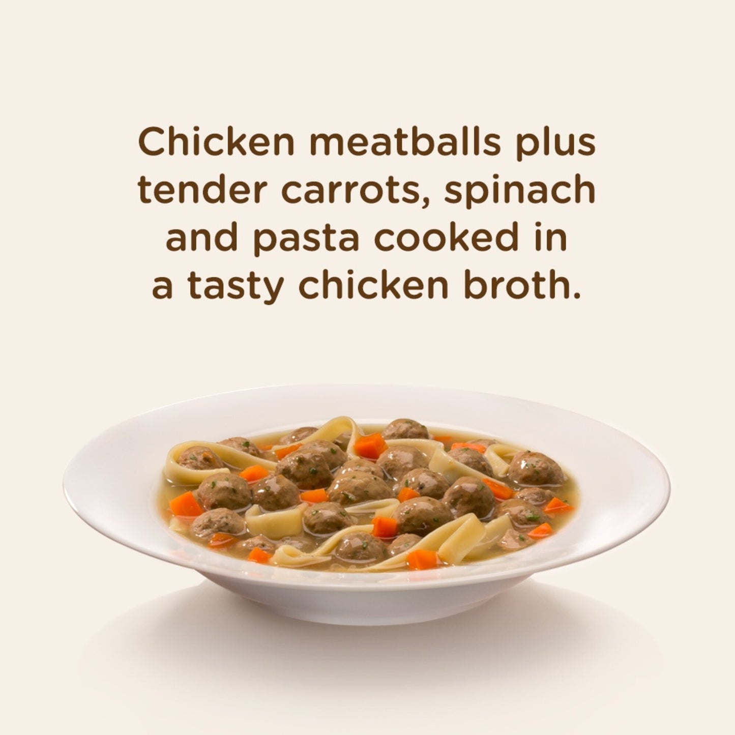 Rachael Ray Nutrish Chicken Muttballs with Pasta Recipe Wet Dog Food