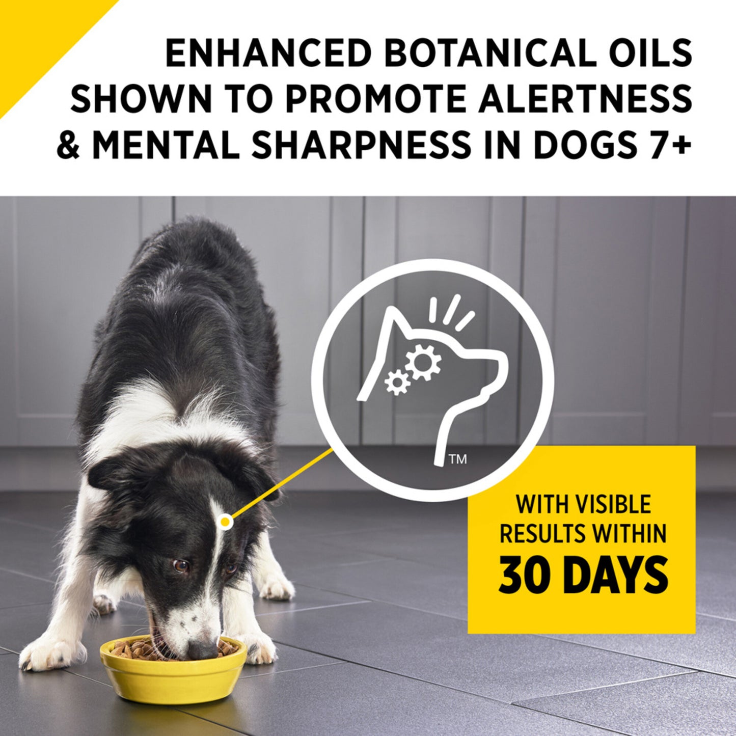 Purina Pro Plan Bright Mind Adult 7plus Chicken & Rice Formula Dry Dog Food