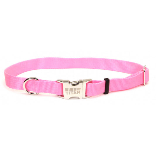 Coastal Pet Products Titan Metal Buckle Adjustable Nylon Small and Medium Dog Collar